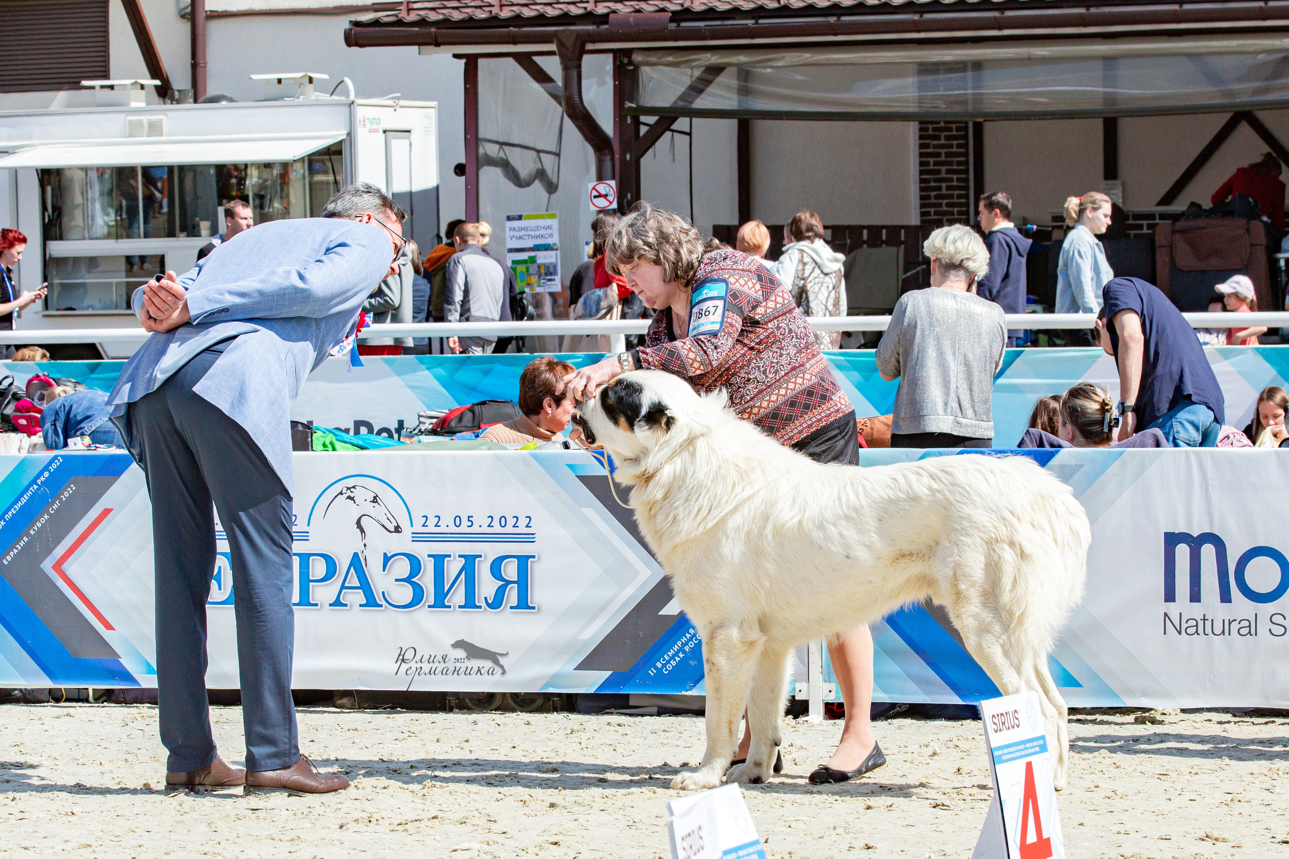 Евразия 21-22 мая 2022. Фотограф-анималист Юлия Германика