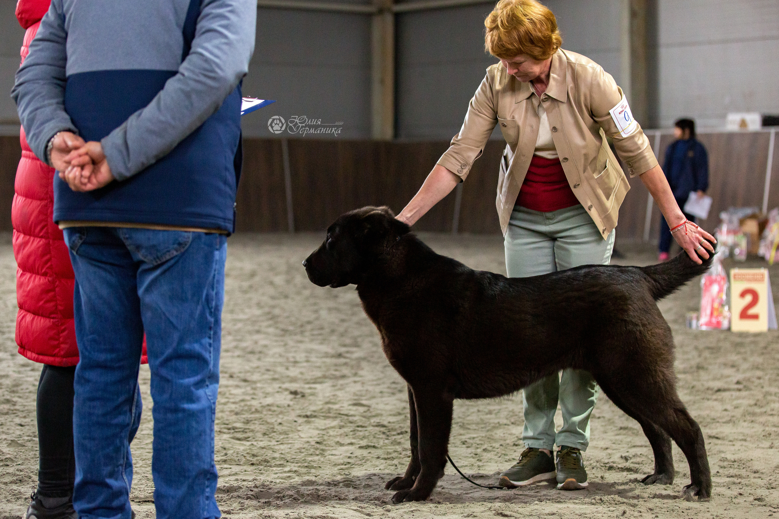 Националка САО+КЧК 24 апреля 2022. Фотограф-анималист Юлия Германика