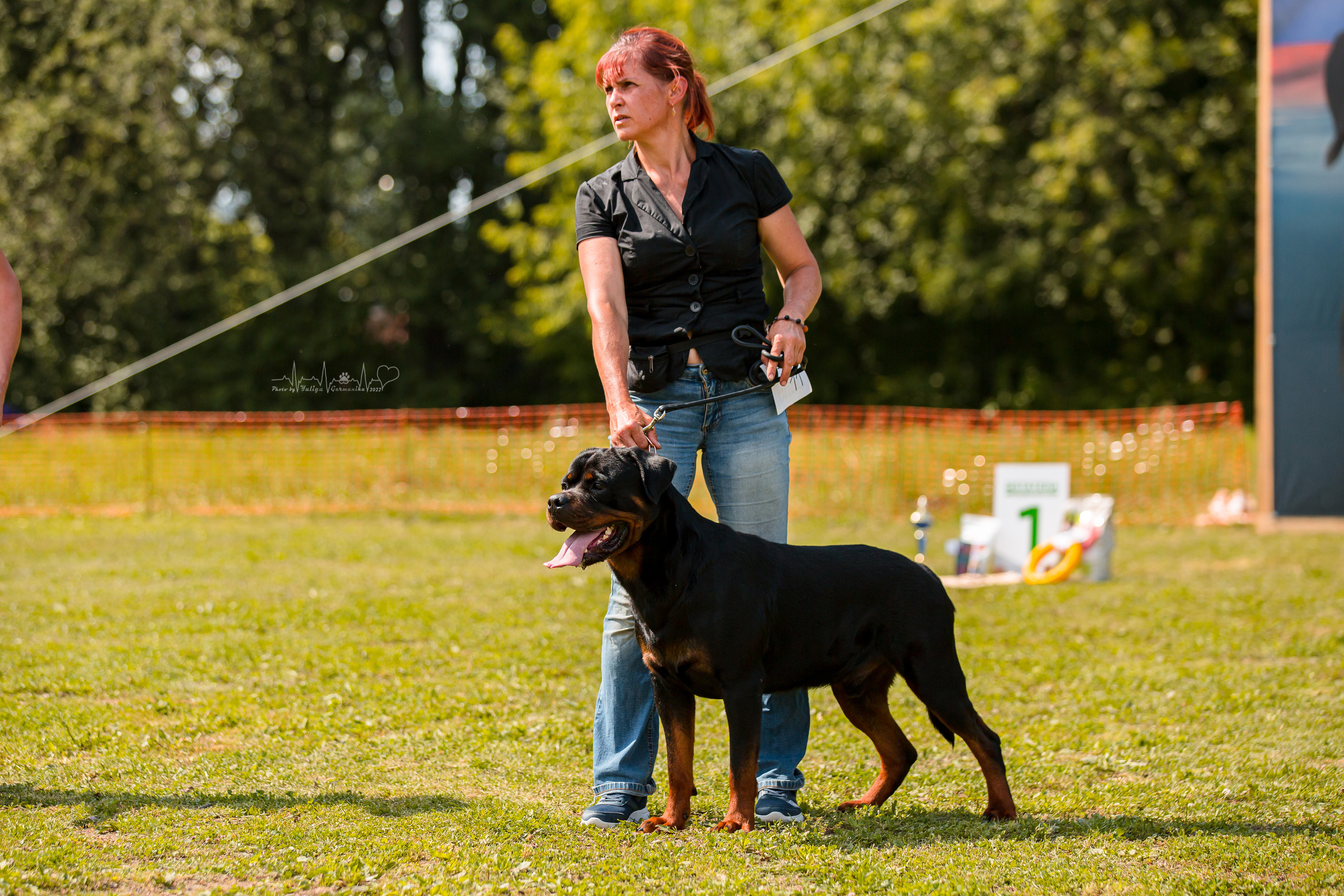 Санкт-Петербург моно ротвейлеров 23.07.2022. Фотограф-анималист Юлия Германика