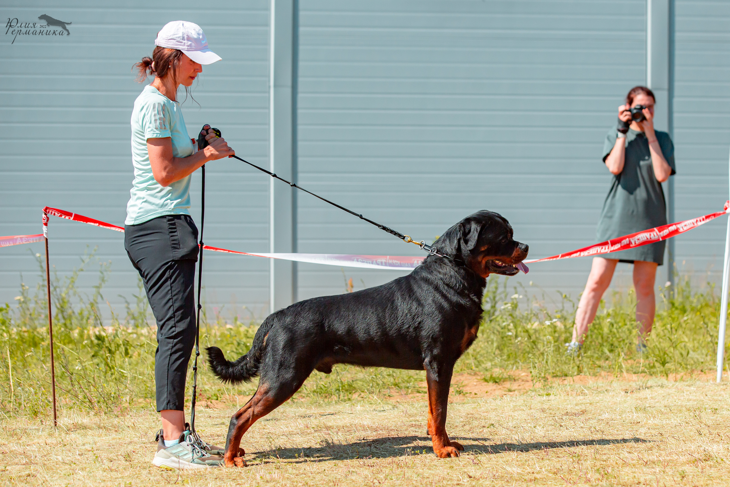 Тверь моно ротвейлеров 2-3.07.2022. Фотограф-анималист Юлия Германика