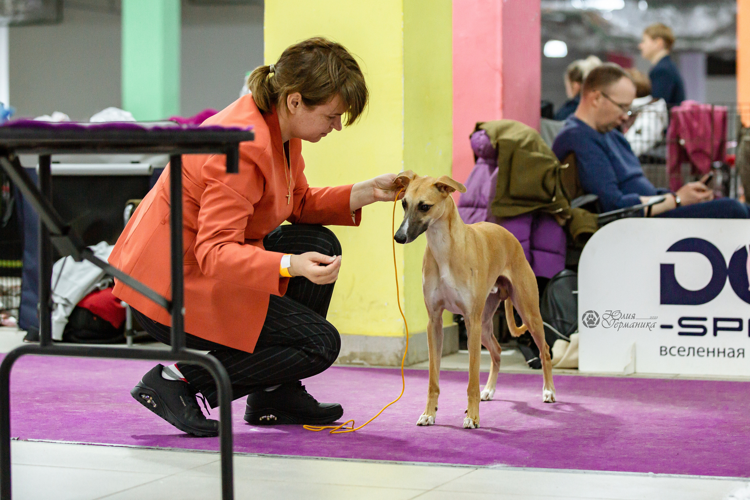 Чайна-Таун 16-17 апреля 2022. Фотограф-анималист Юлия Германика
