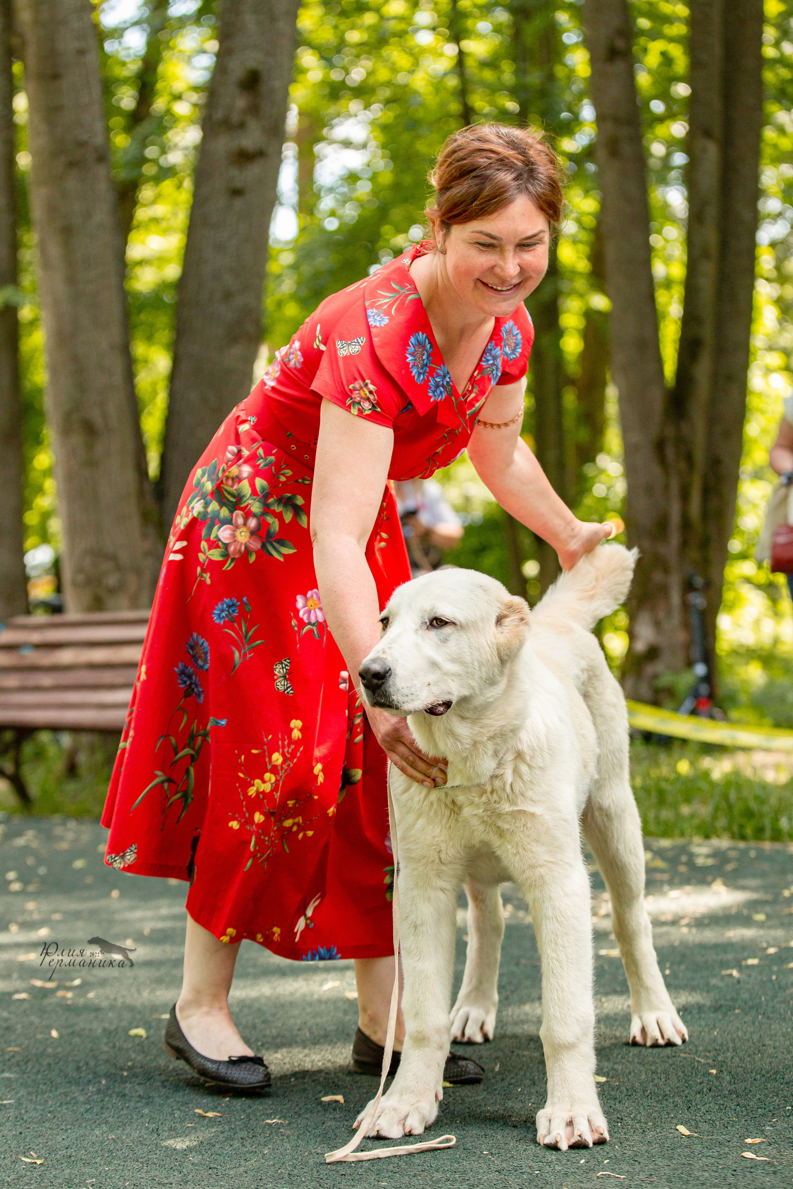 Сергиев Посад 2хСАС 25.06.2022. Фотограф-анималист Юлия Германика