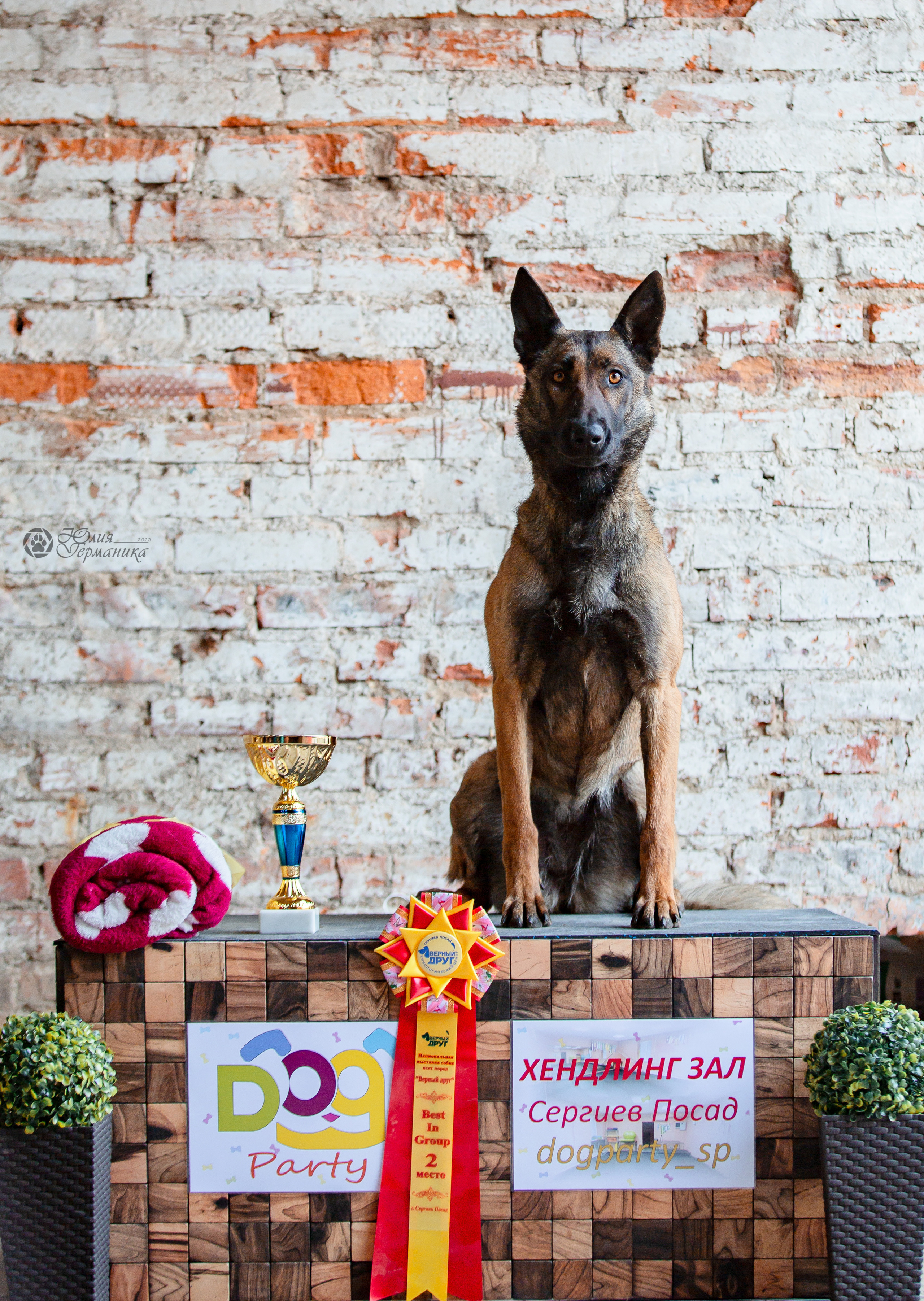 Сергиев Посад 23.04.2022. Фотограф-анималист Юлия Германика