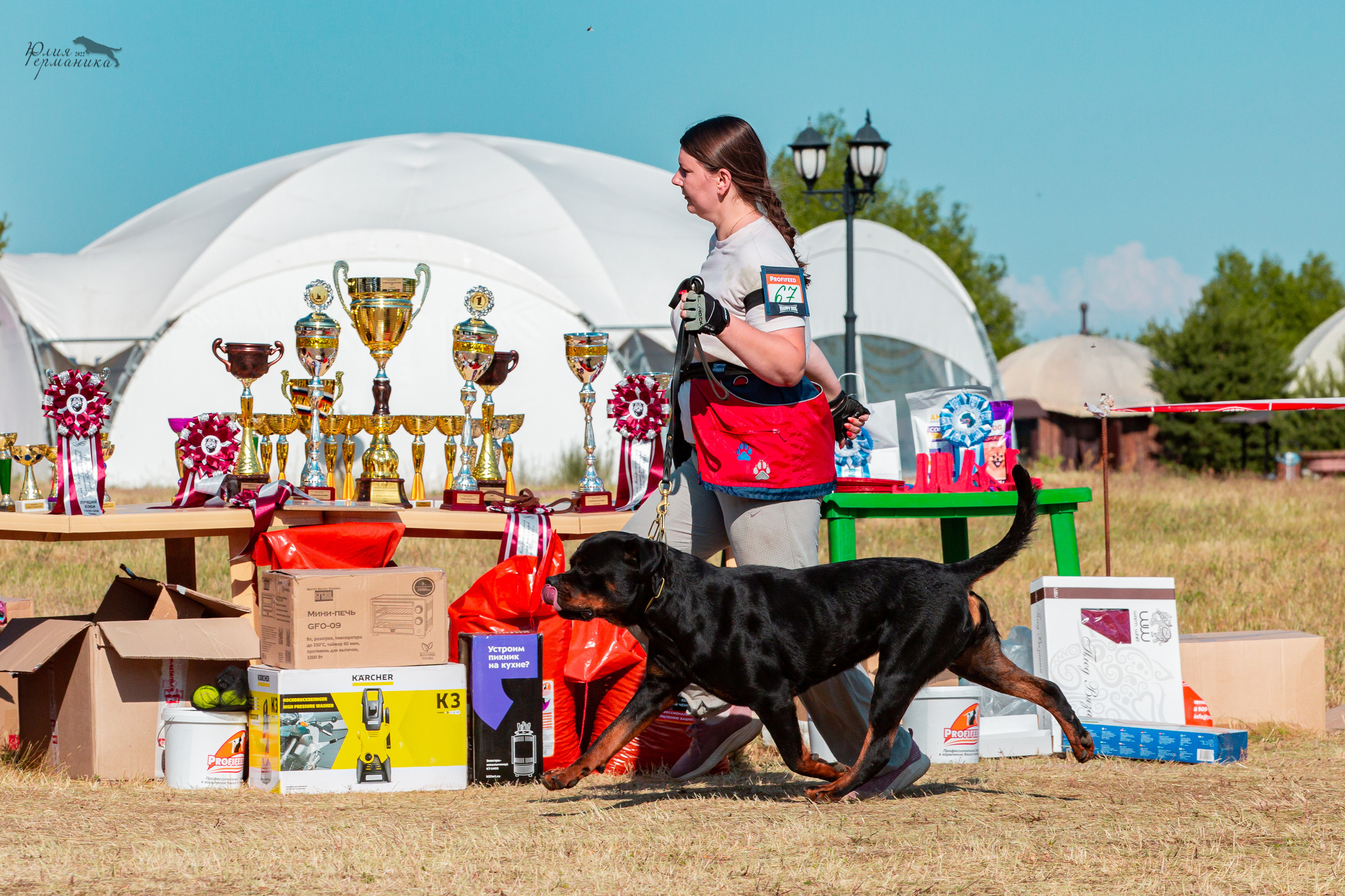 Тверь моно ротвейлеров 2-3.07.2022. Фотограф-анималист Юлия Германика