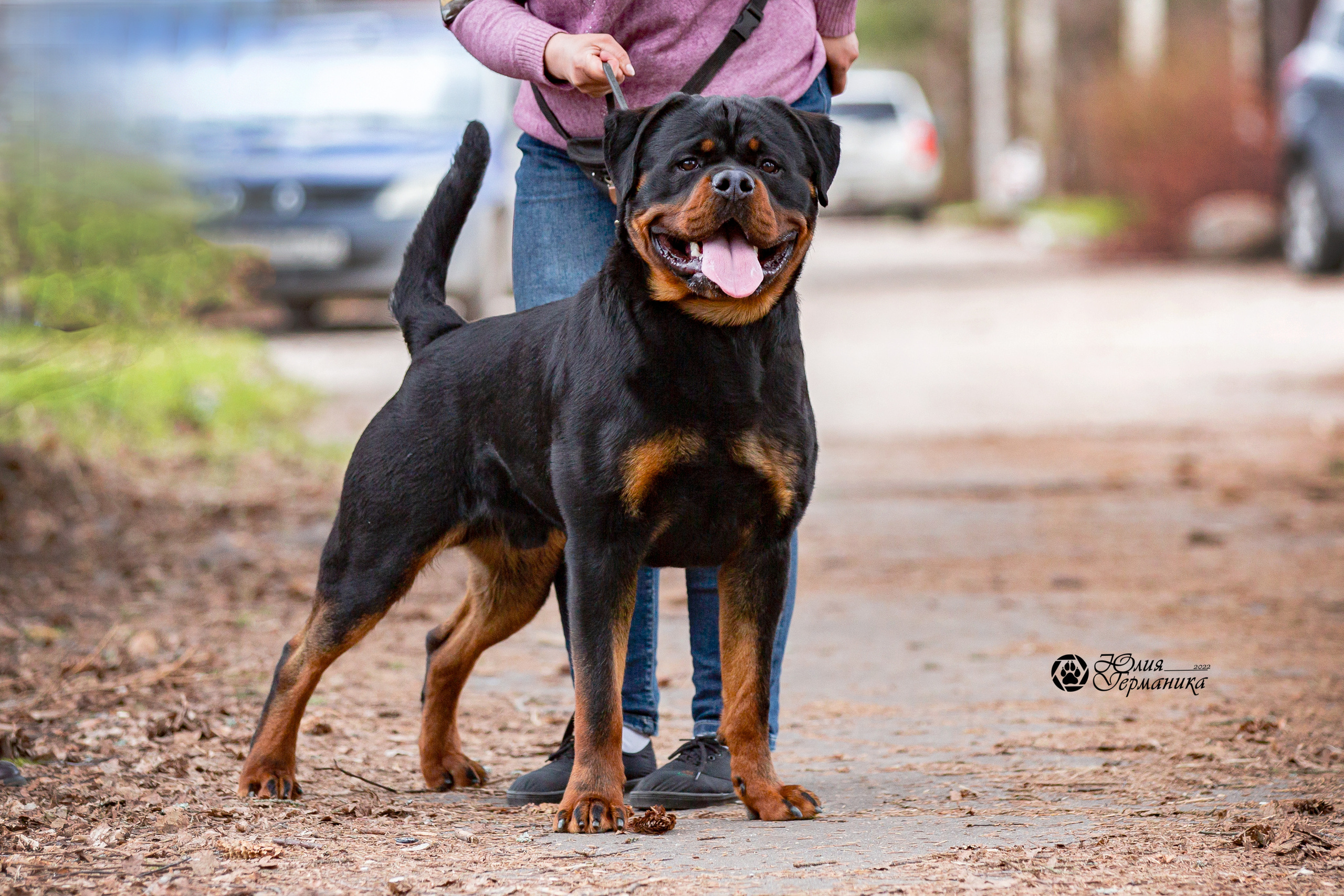 Свободная съемка. Фотограф-анималист Юлия Германика