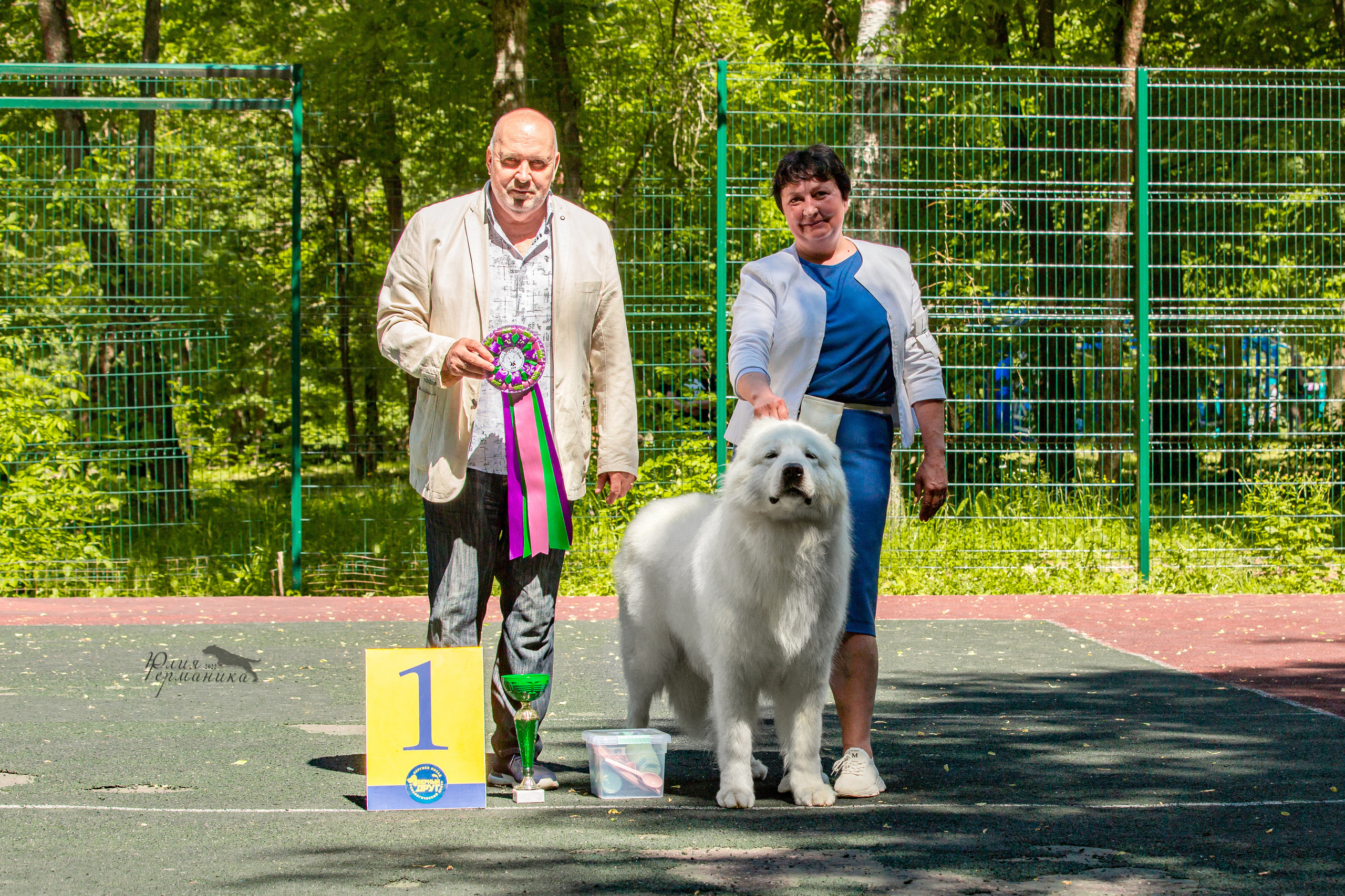 Сергиев Посад 2хСАС 25.06.2022. Фотограф-анималист Юлия Германика
