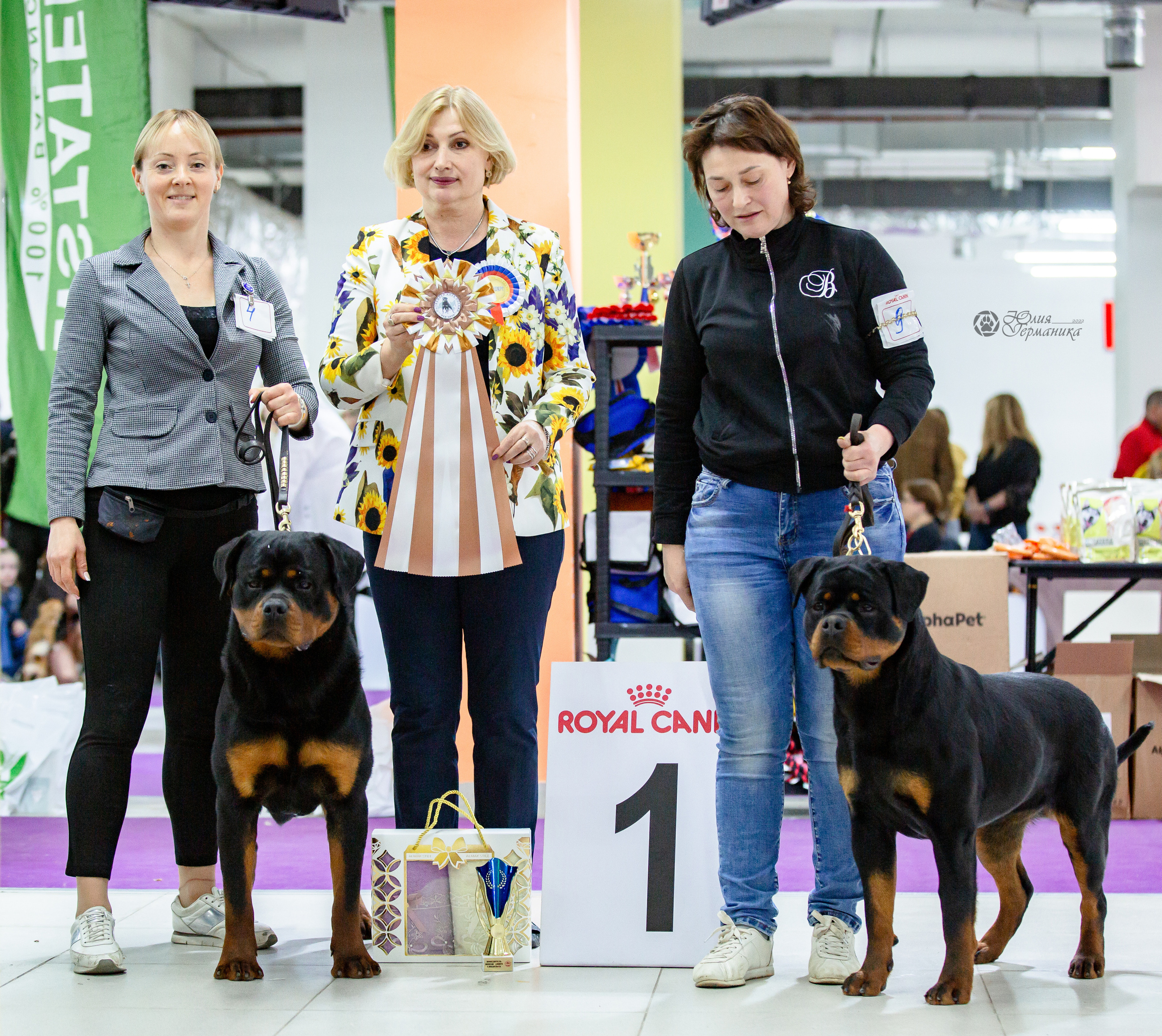 Чайна-Таун 16-17 апреля 2022. Фотограф-анималист Юлия Германика