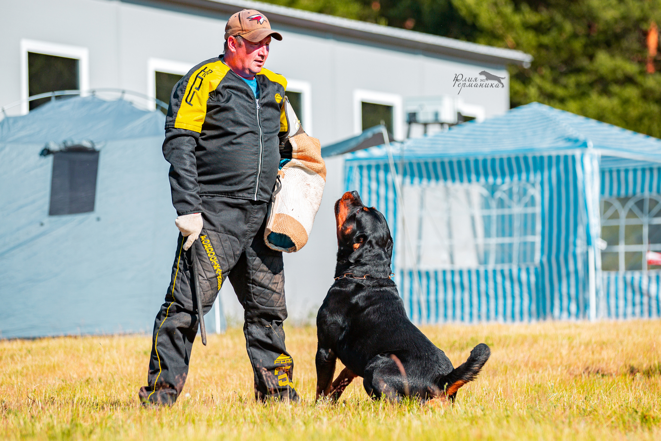 Тверь моно ротвейлеров 2-3.07.2022. Фотограф-анималист Юлия Германика