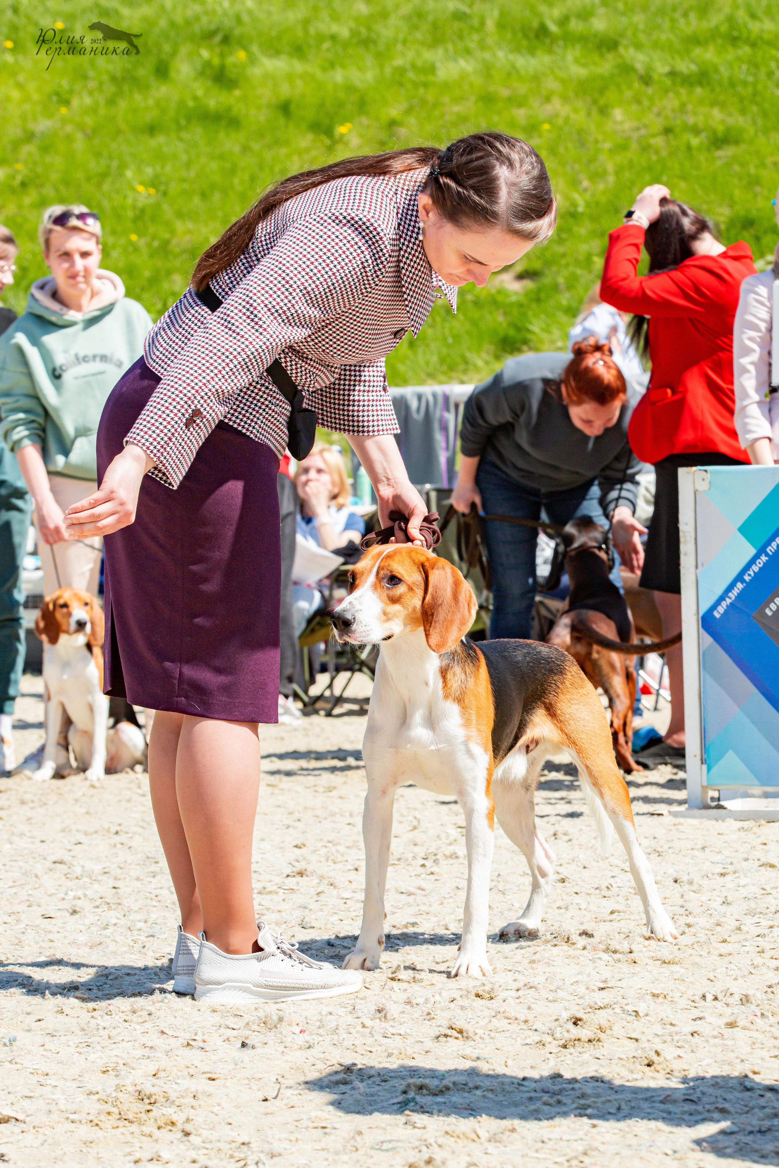 Евразия 21-22 мая 2022. Фотограф-анималист Юлия Германика