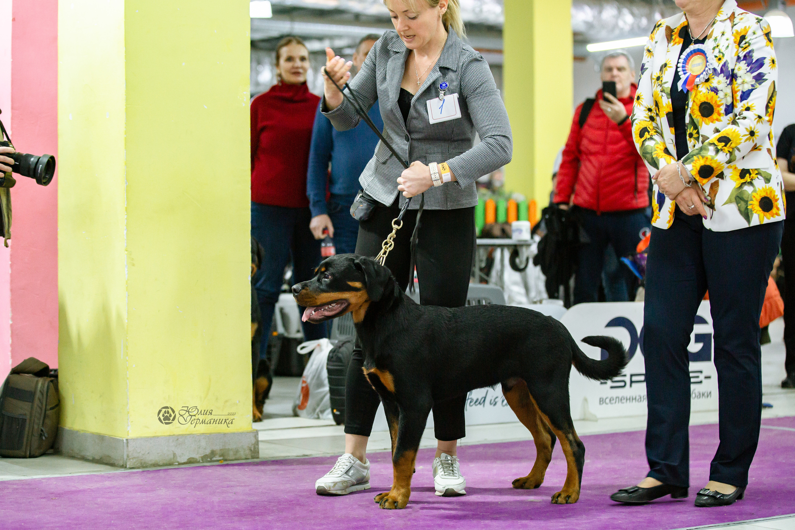 Чайна-Таун 16-17 апреля 2022. Фотограф-анималист Юлия Германика