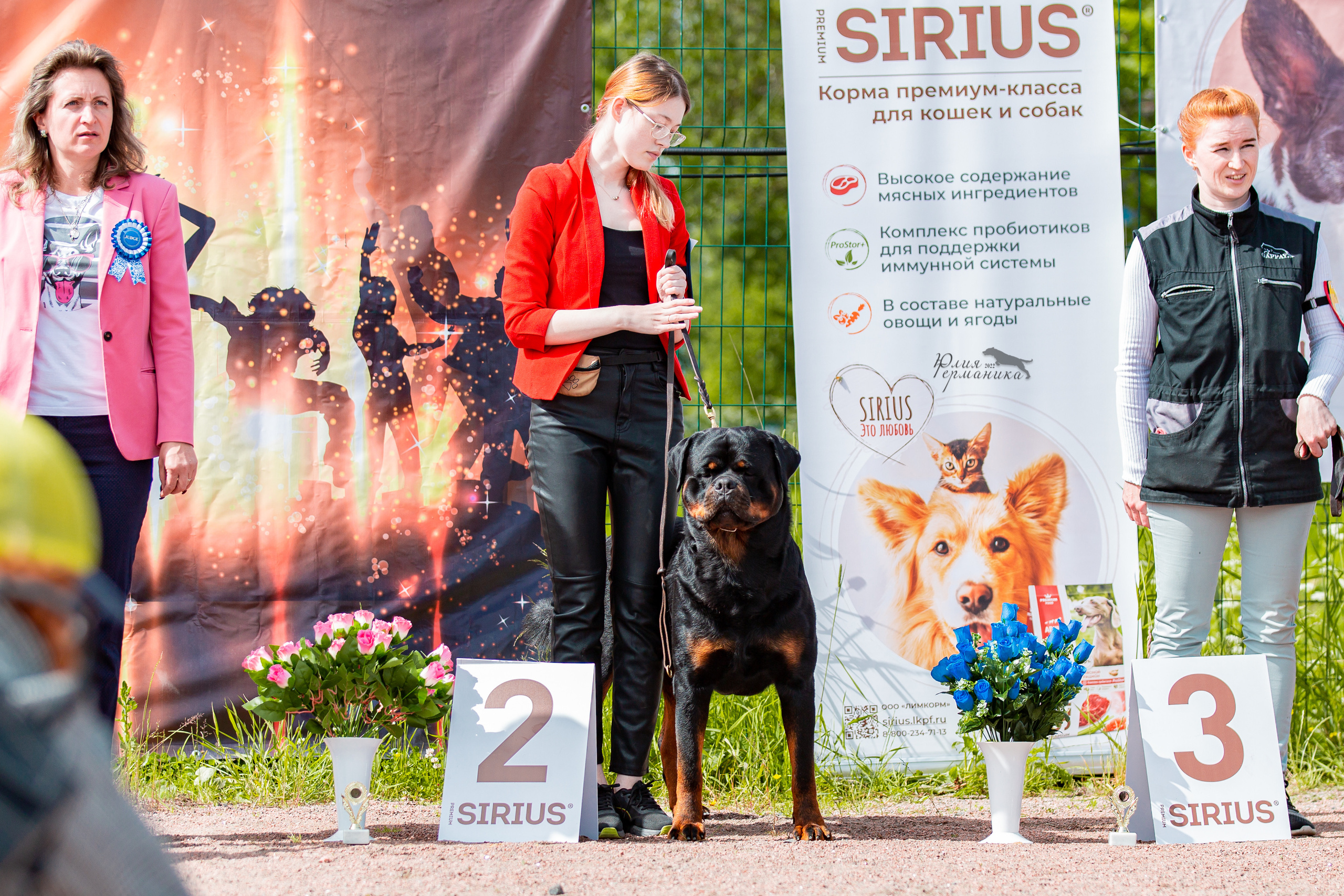 Смоленск 12.06,   Ховрино 13.06,    Питер 18.06 2022. Фотограф-анималист Юлия Германика