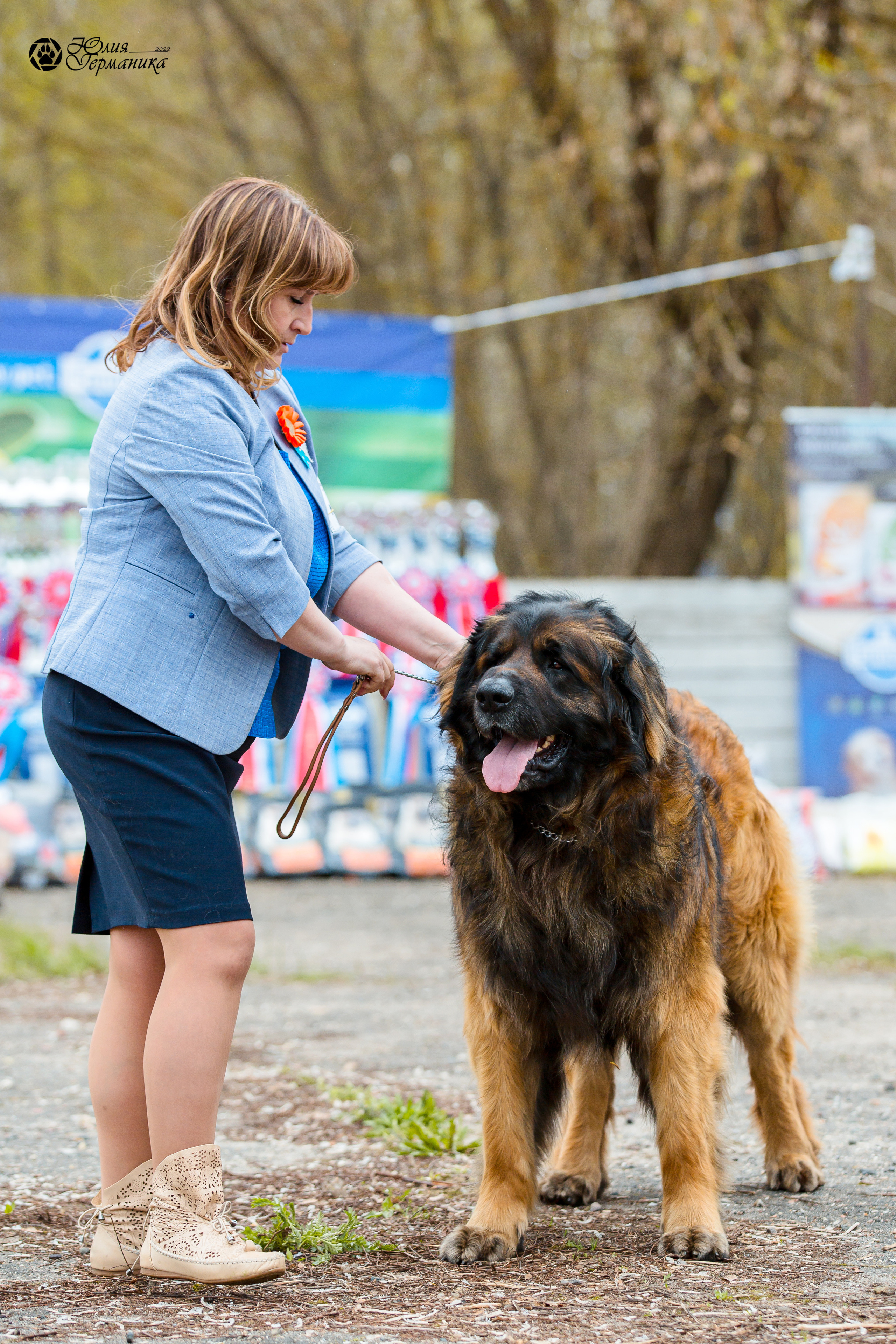 Александров 2хСАС 8 мая 2022. Фотограф-анималист Юлия Германика