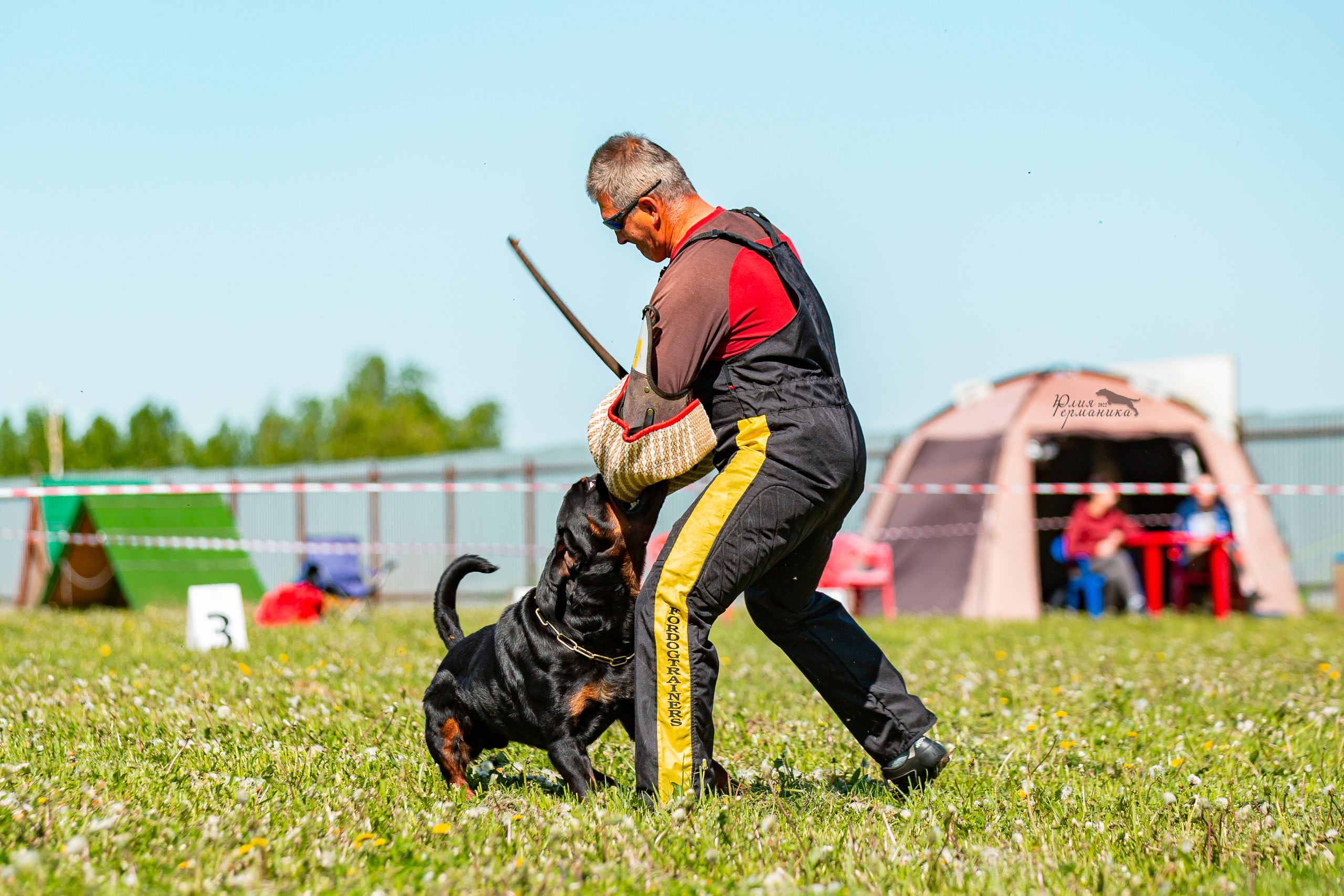 Нижний Новгород моно ротвейлеров 4 июня 2022. Фотограф-анималист Юлия Германика