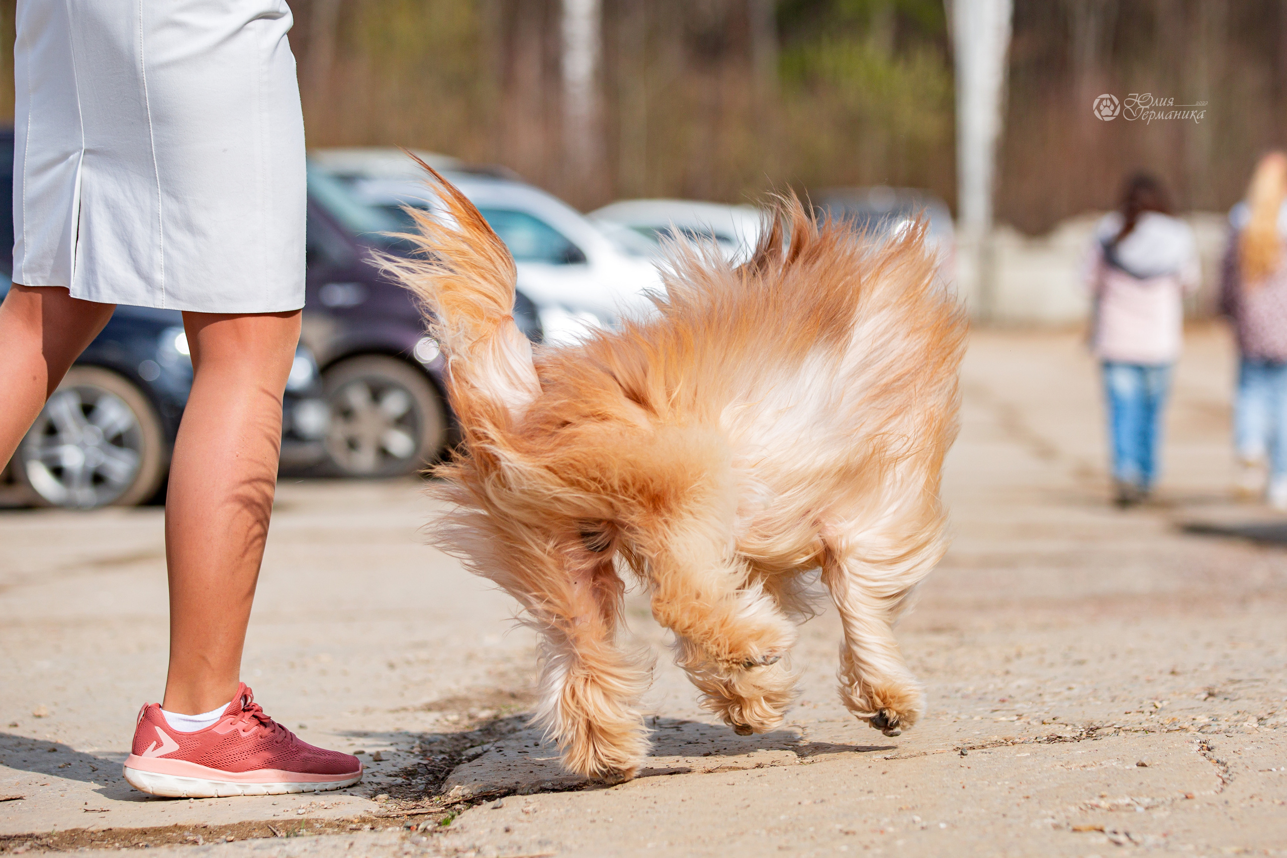 Сергиев Посад 23.04.2022. Фотограф-анималист Юлия Германика