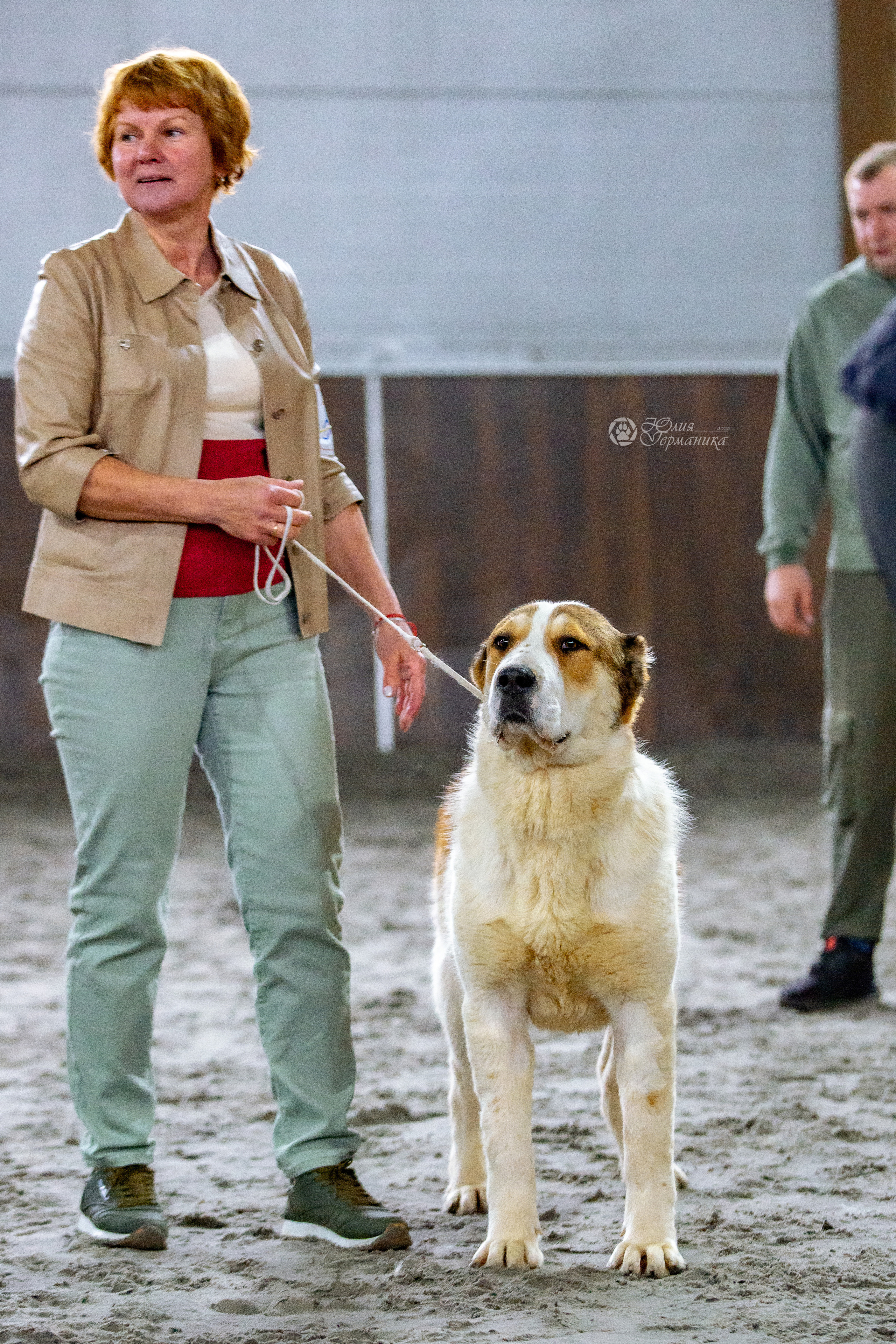 Националка САО+КЧК 24 апреля 2022. Фотограф-анималист Юлия Германика