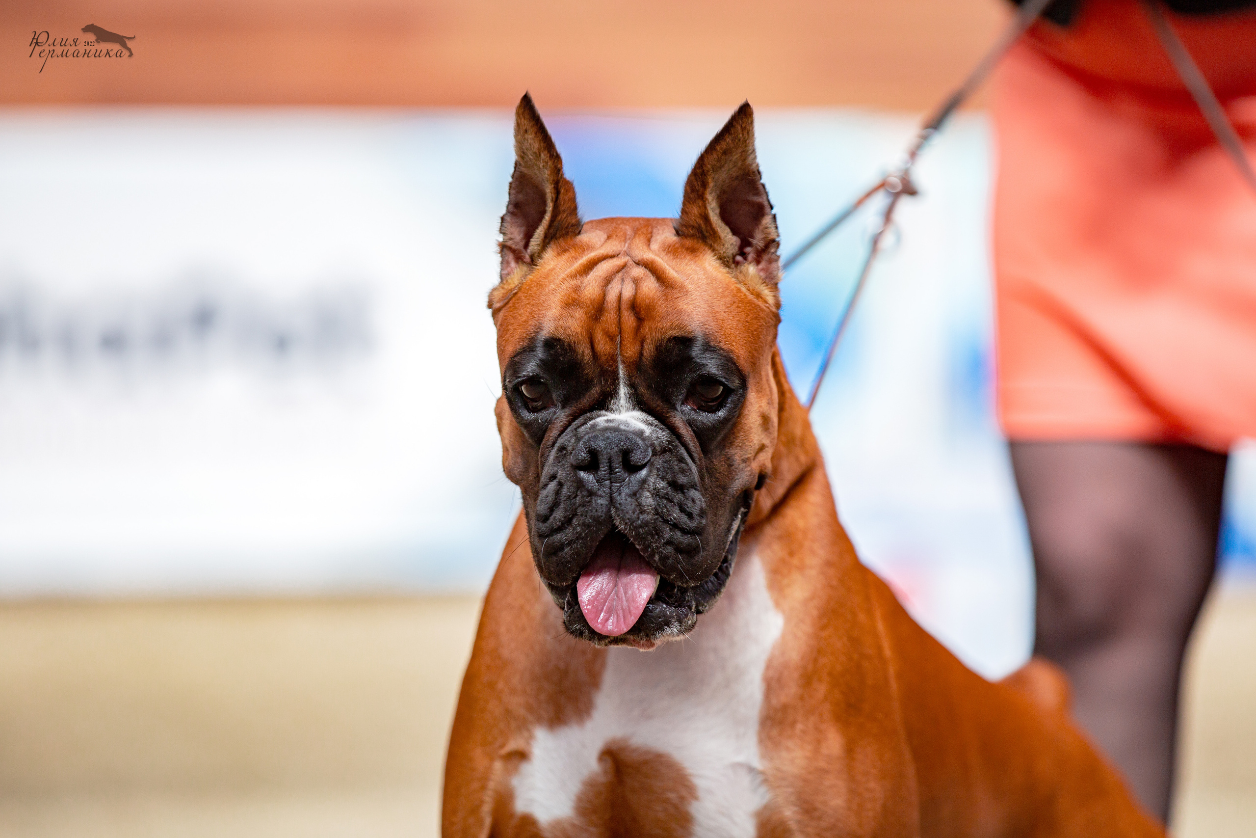 Евразия 21-22 мая 2022