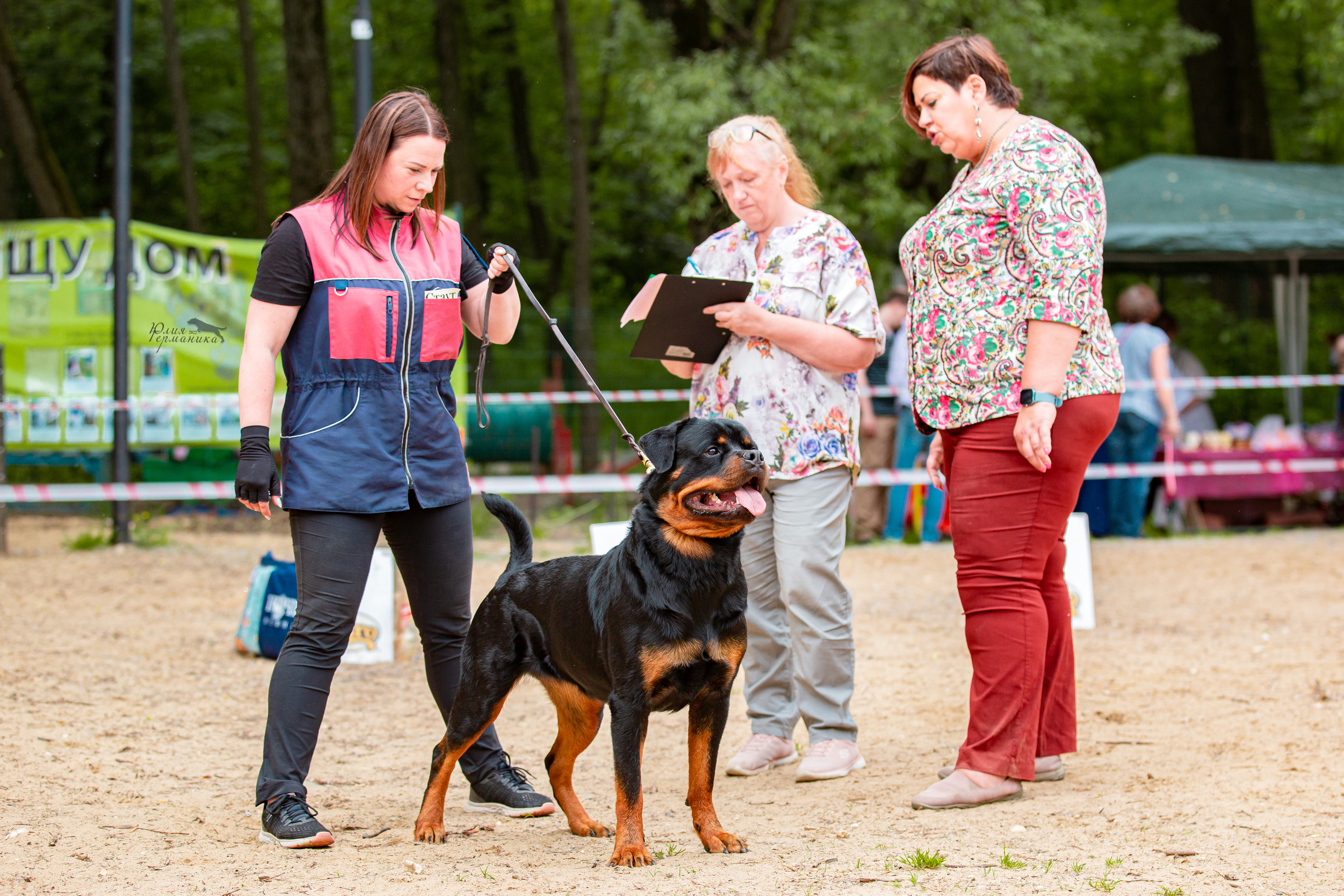 Смоленск 12.06,   Ховрино 13.06,    Питер 18.06 2022. Фотограф-анималист Юлия Германика