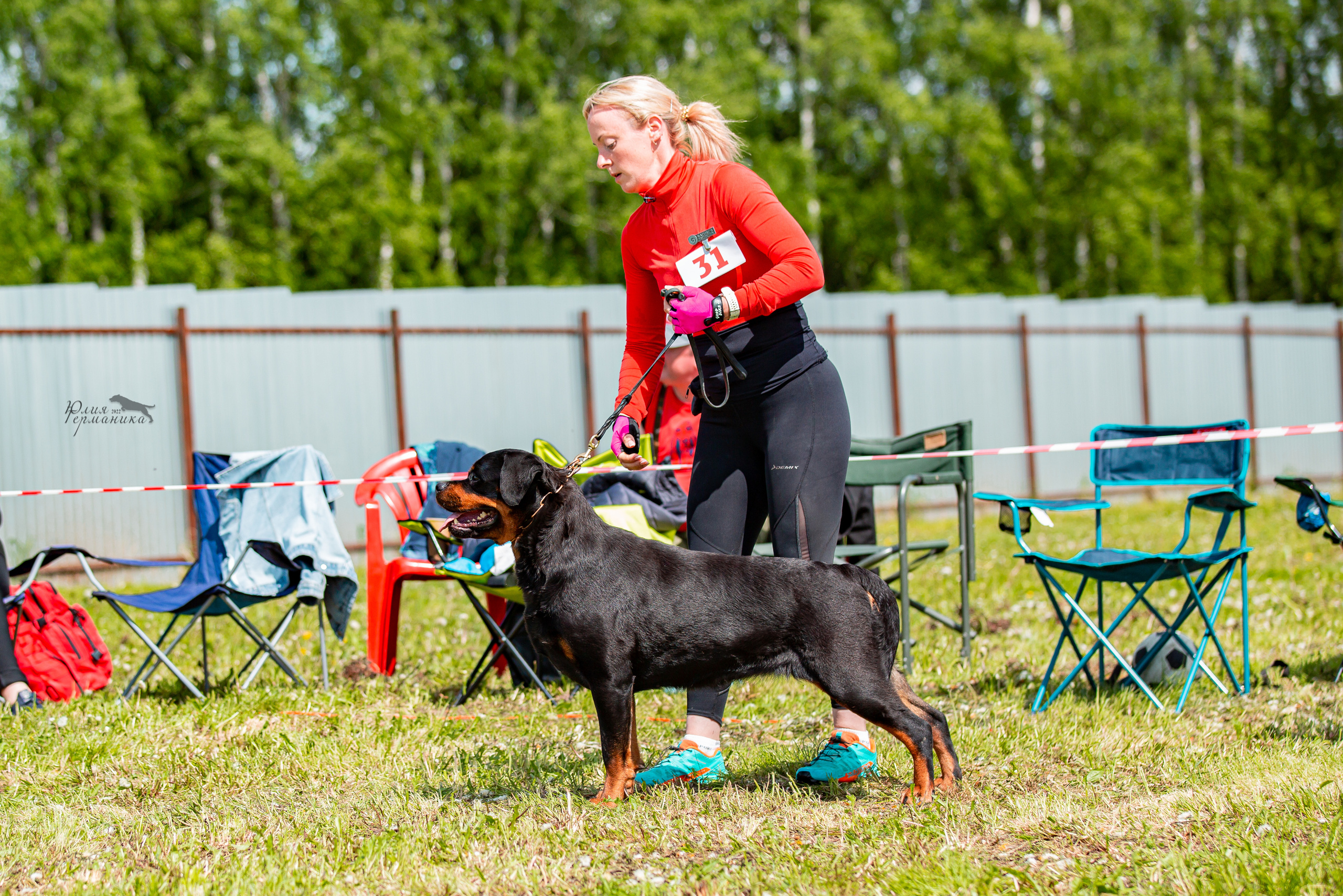 Нижний Новгород моно ротвейлеров 4 июня 2022. Фотограф-анималист Юлия Германика