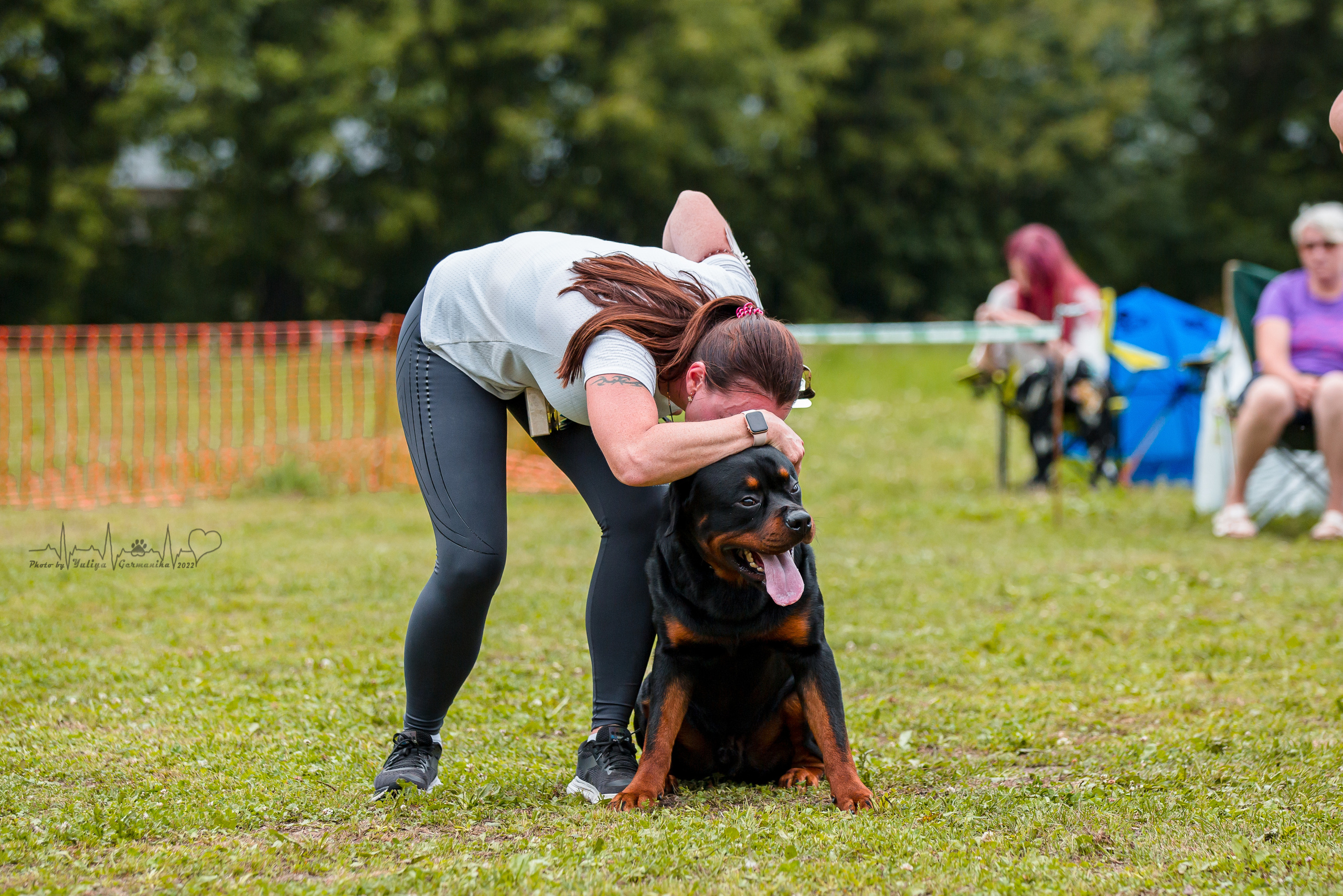 Санкт-Петербург моно ротвейлеров 23.07.2022. Фотограф-анималист Юлия Германика