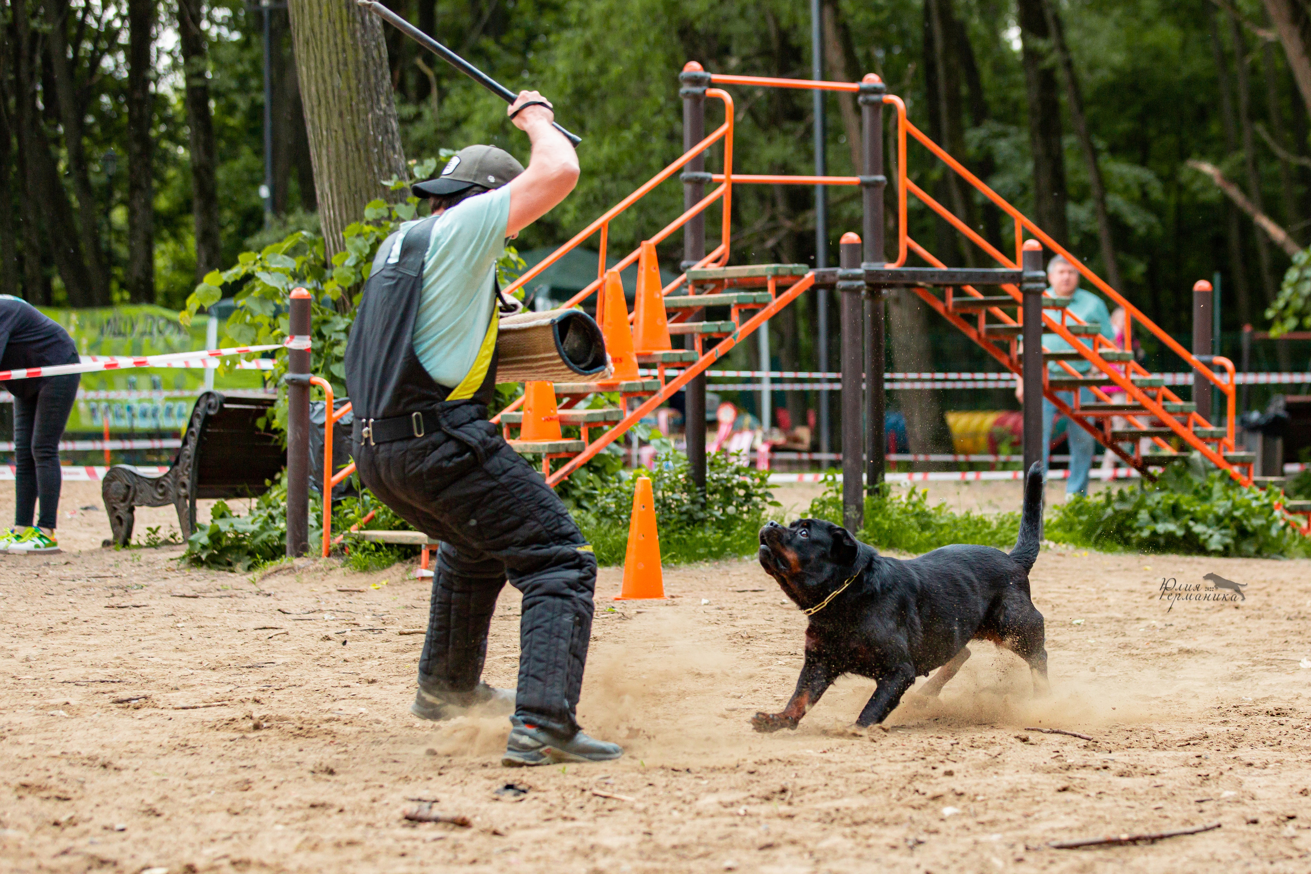 Смоленск 12.06,   Ховрино 13.06,    Питер 18.06 2022. Фотограф-анималист Юлия Германика
