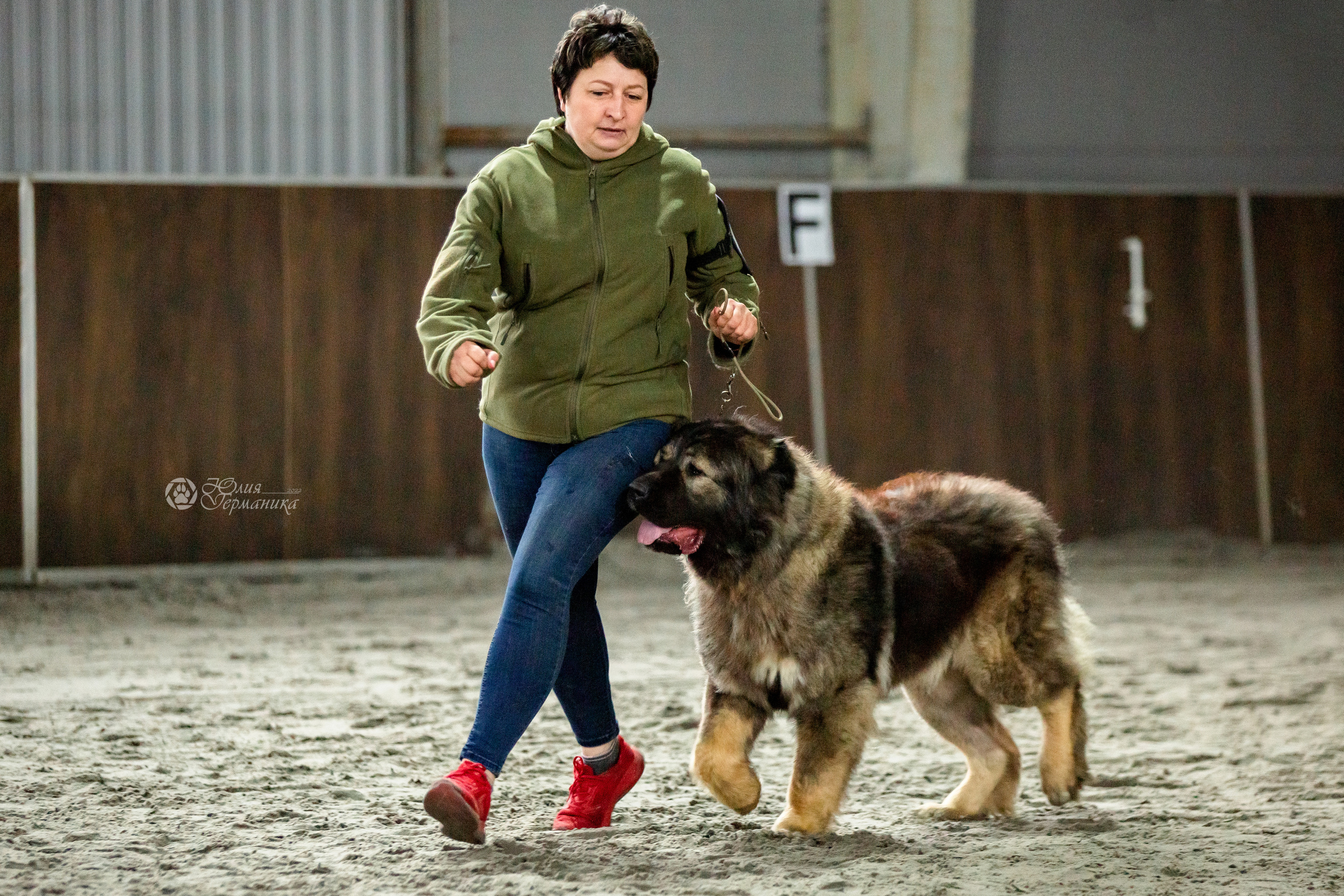 Националка САО+КЧК 24 апреля 2022. Фотограф-анималист Юлия Германика