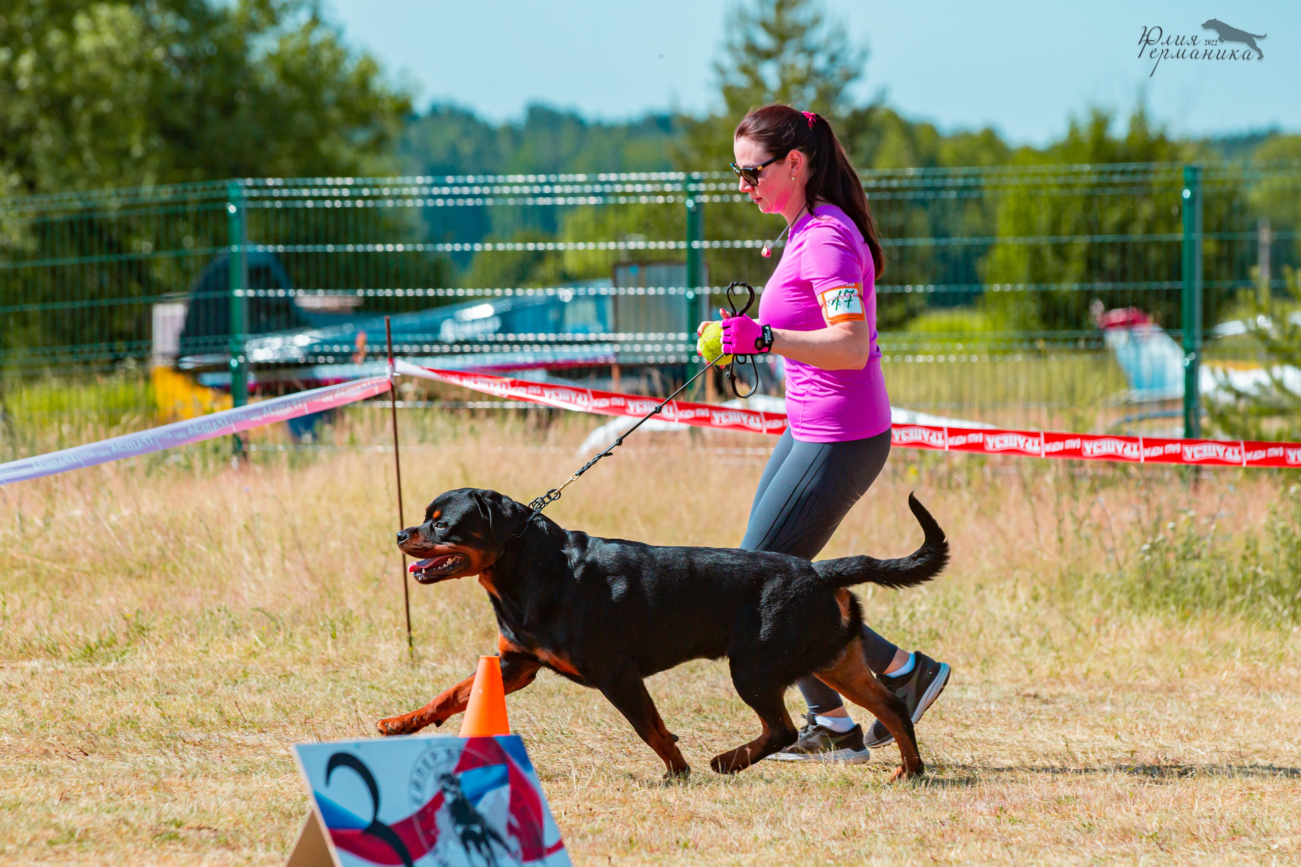 Тверь моно ротвейлеров 2-3.07.2022. Фотограф-анималист Юлия Германика