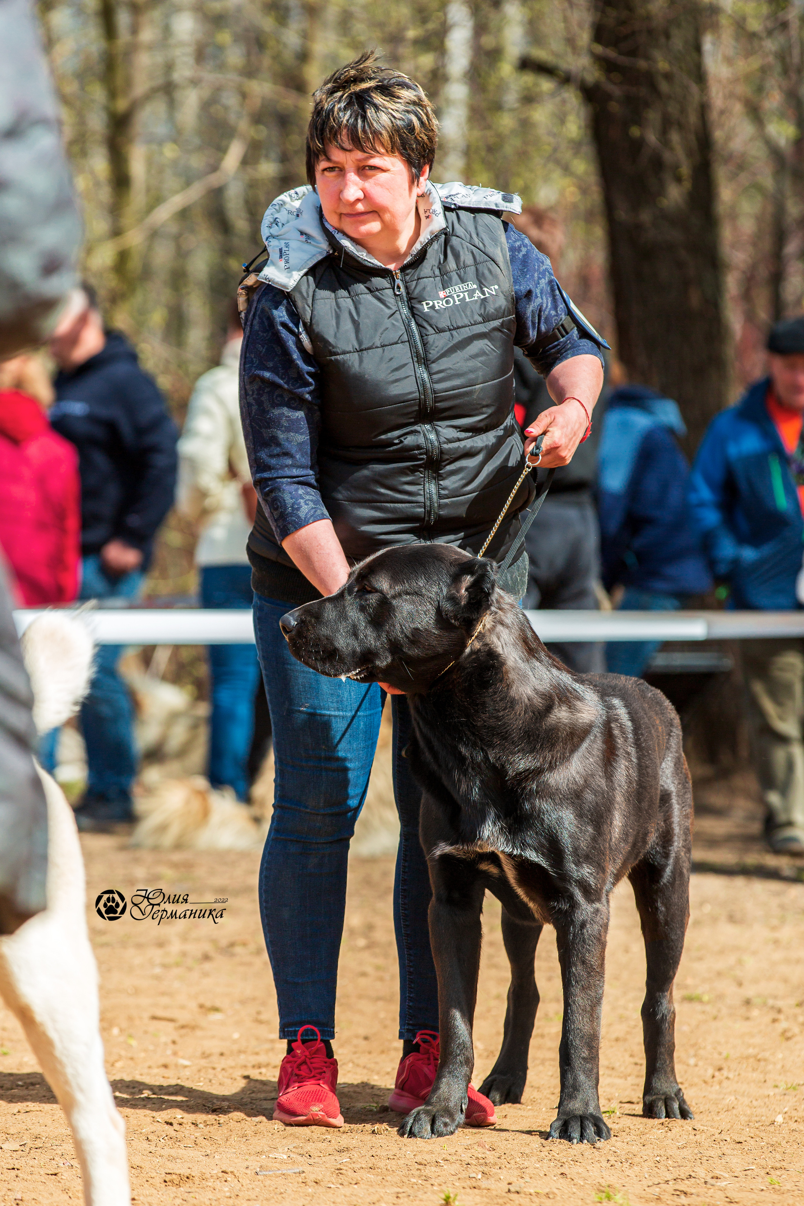 Сокольники 1 мая 2022. Фотограф-анималист Юлия Германика