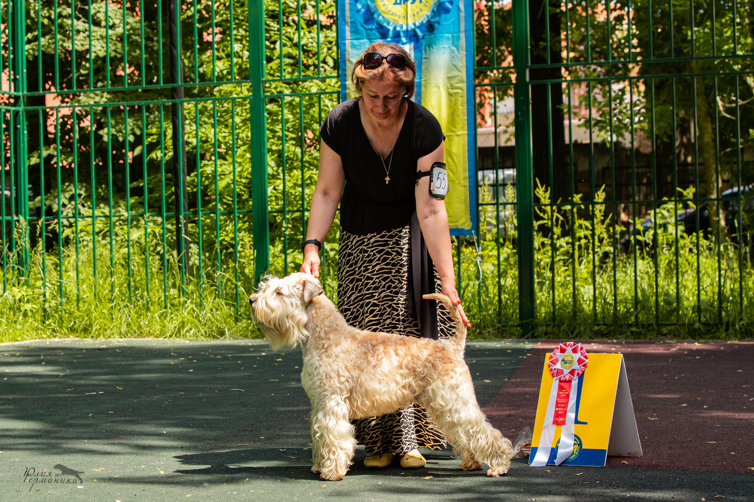Сергиев Посад 2хСАС 25.06.2022. Фотограф-анималист Юлия Германика