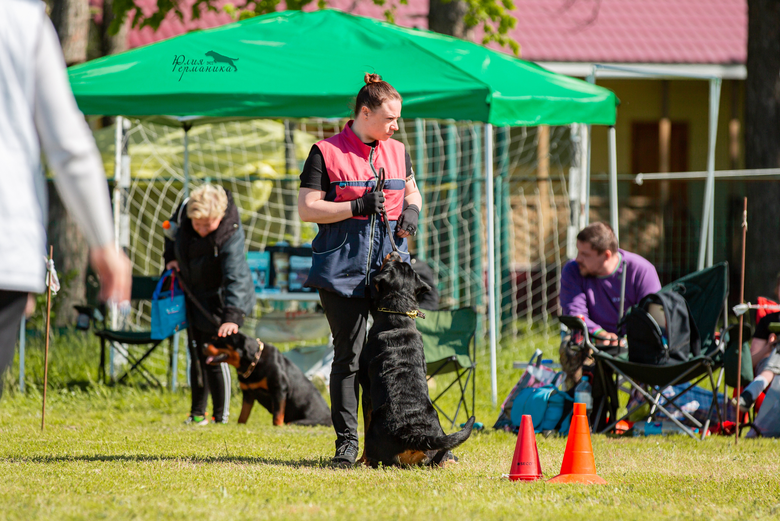 Воронеж моно ротвейлеров 28-29 мая 2022. Фотограф-анималист Юлия Германика