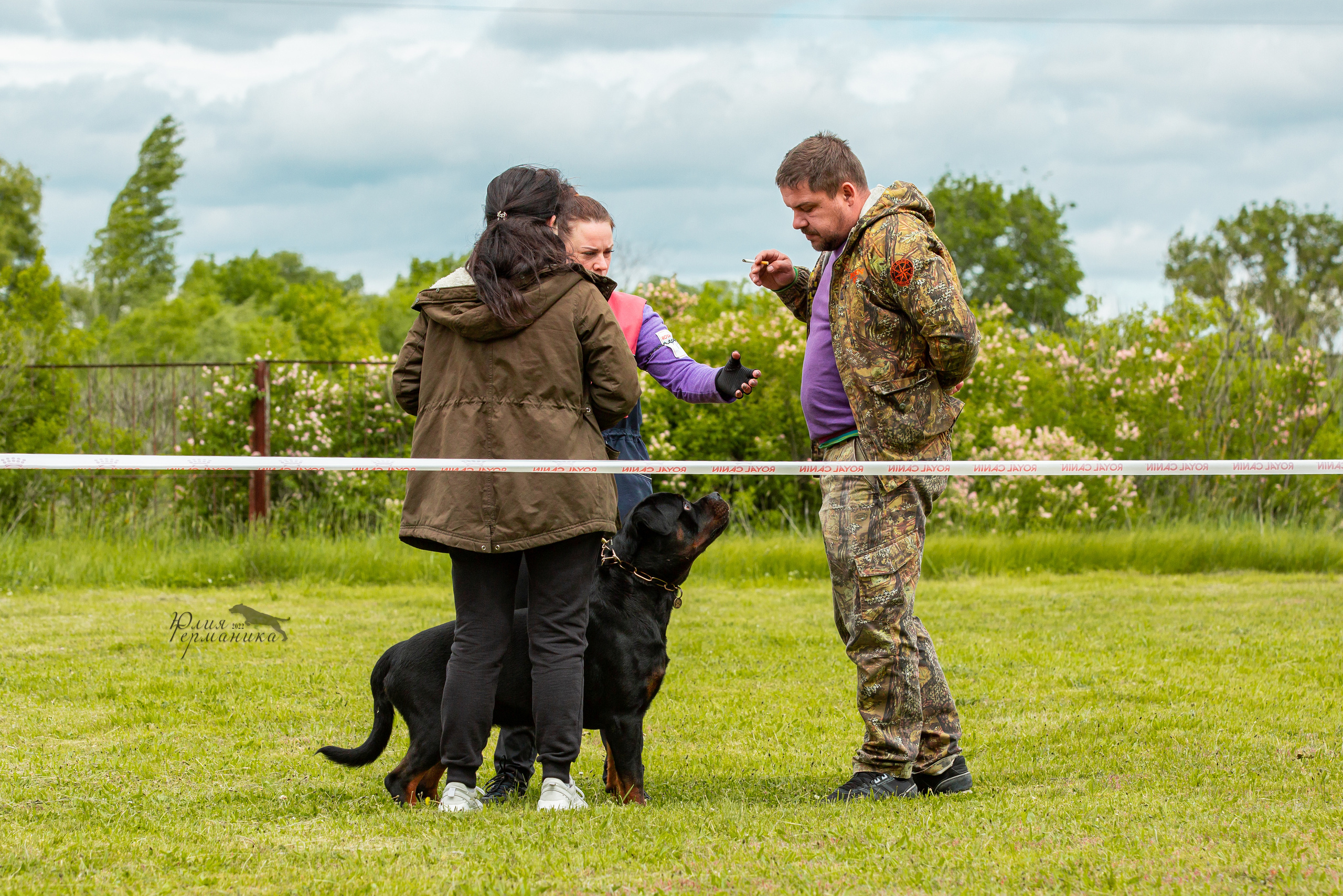 Воронеж моно ротвейлеров 28-29 мая 2022. Фотограф-анималист Юлия Германика