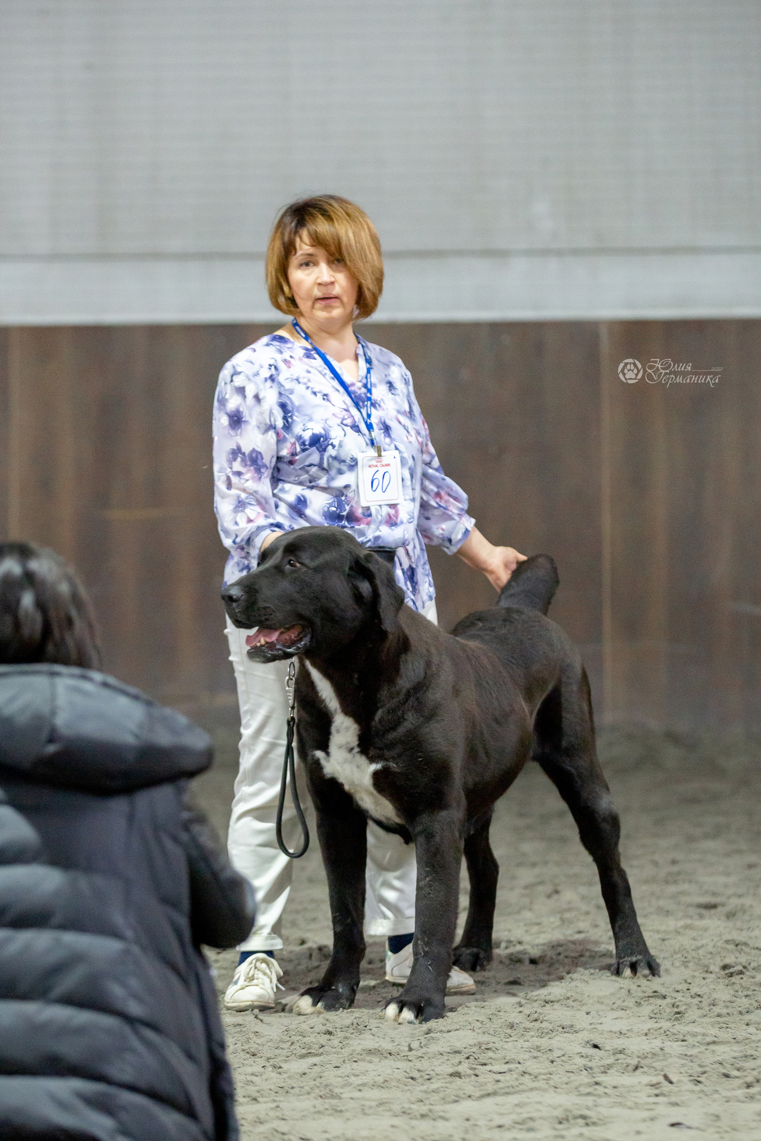 Националка САО+КЧК 24 апреля 2022. Фотограф-анималист Юлия Германика