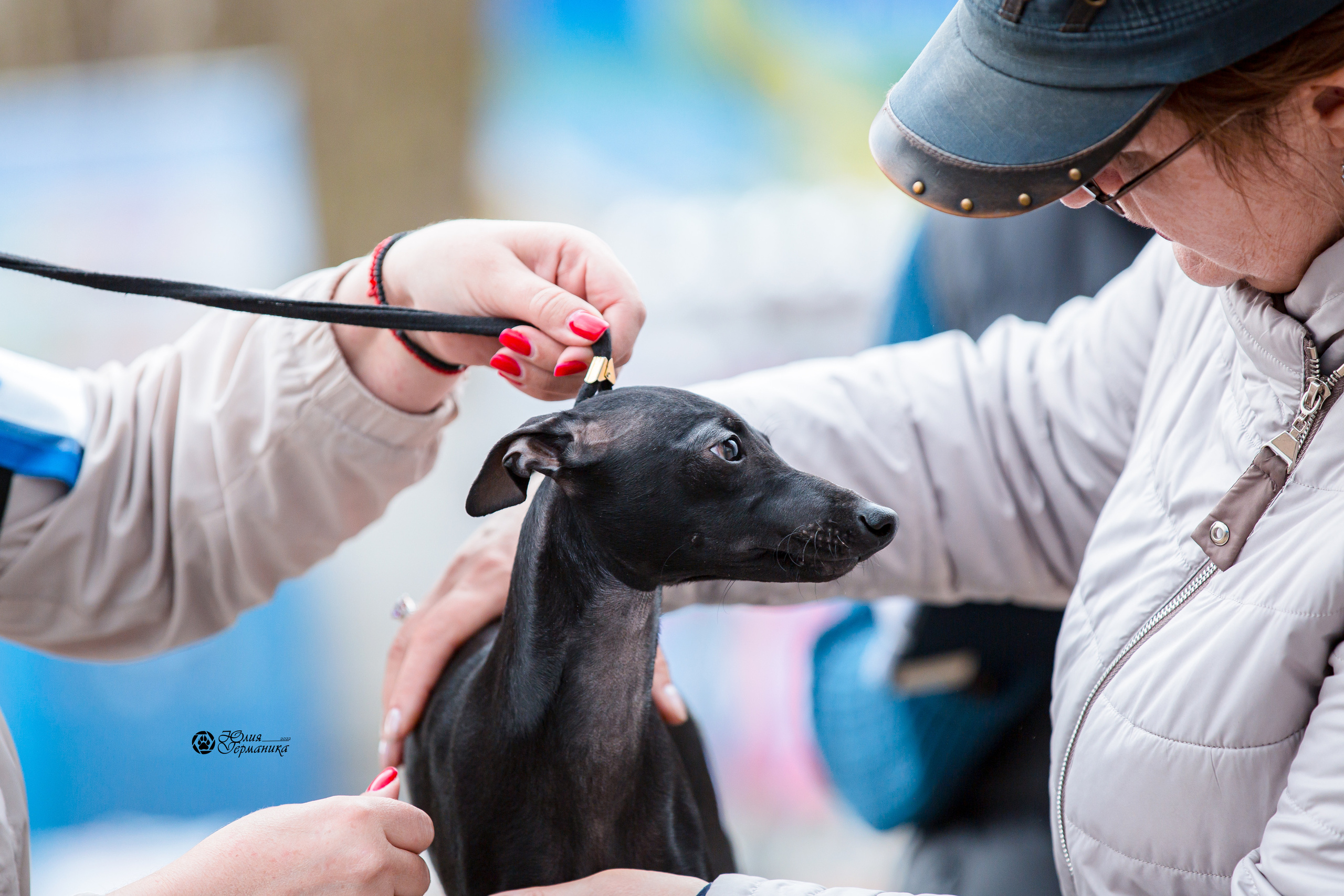 Александров 2хСАС 8 мая 2022. Фотограф-анималист Юлия Германика