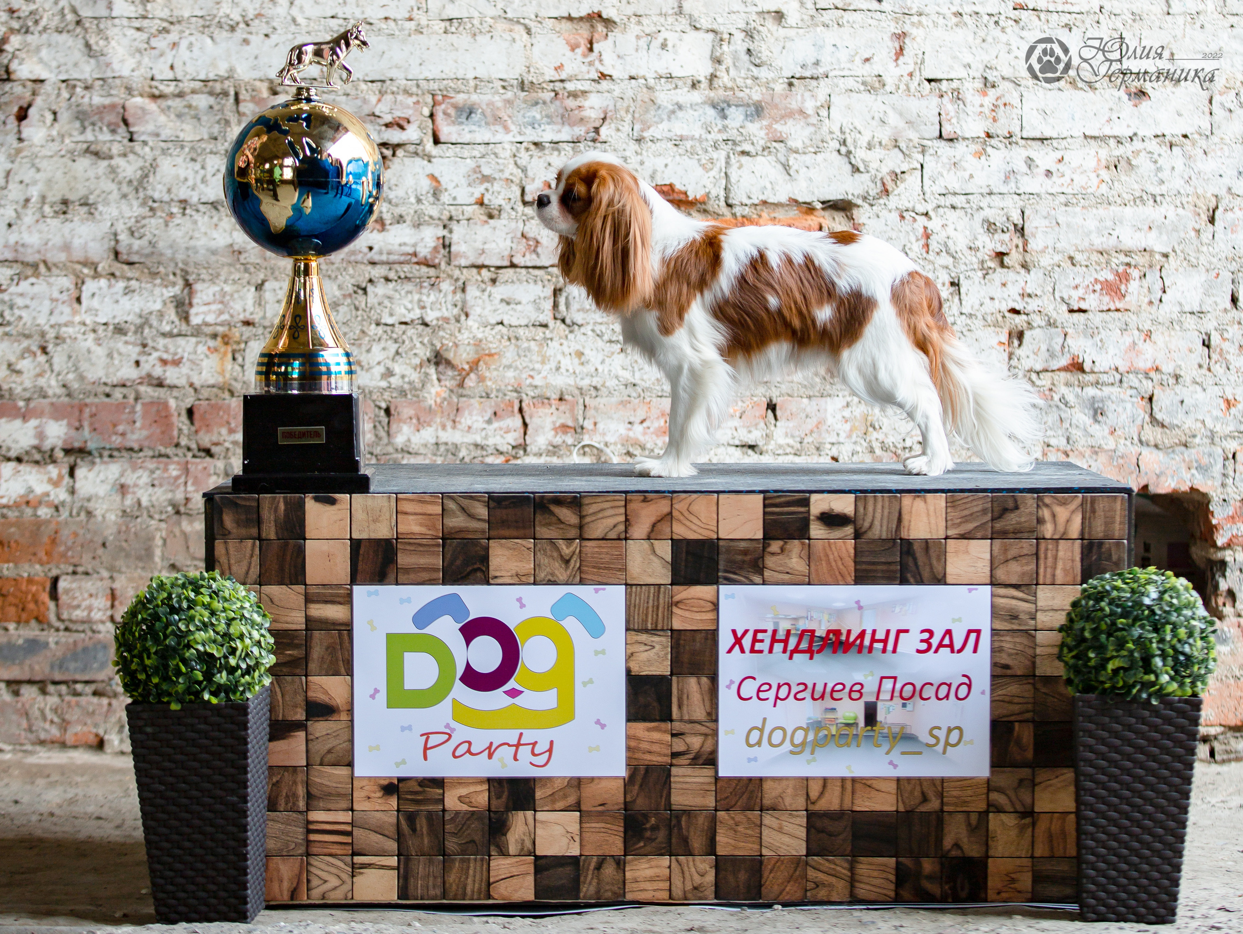 Сергиев Посад 23.04.2022. Фотограф-анималист Юлия Германика