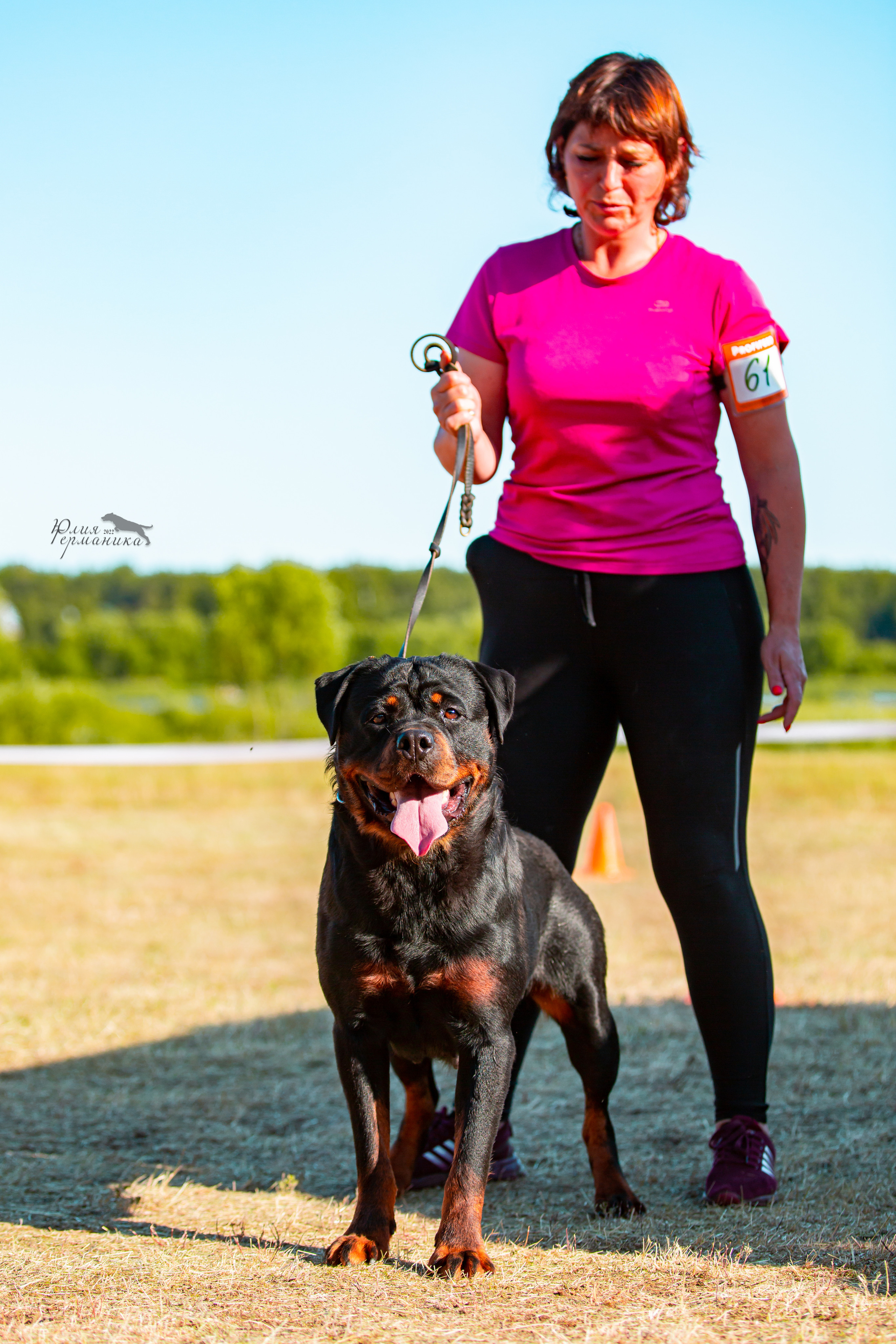 Тверь моно ротвейлеров 2-3.07.2022. Фотограф-анималист Юлия Германика