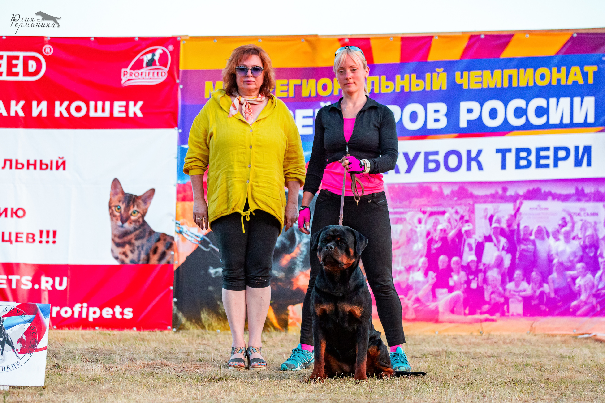 Тверь моно ротвейлеров 2-3.07.2022. Фотограф-анималист Юлия Германика