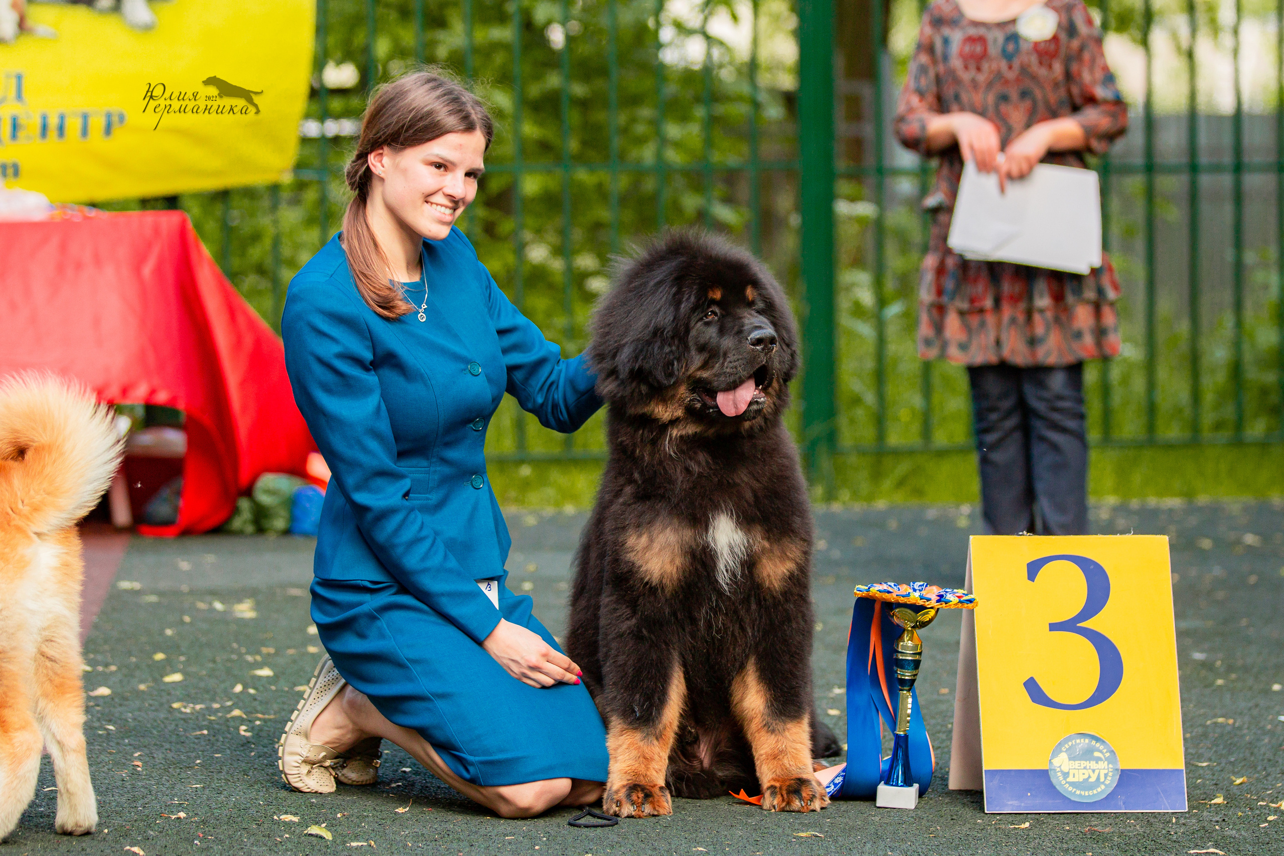 Сергиев Посад 2хСАС 25.06.2022. Фотограф-анималист Юлия Германика