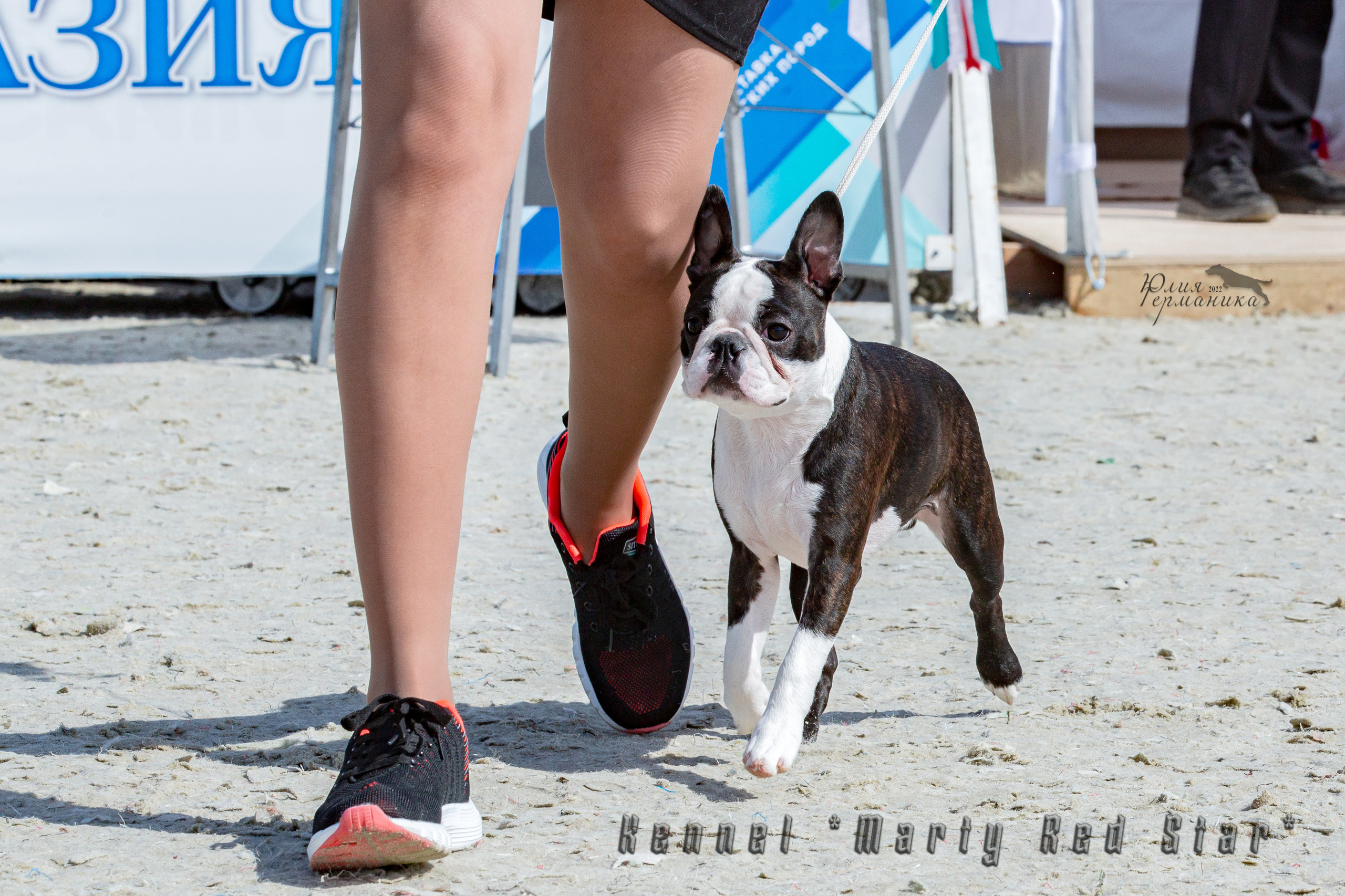 Евразия 21-22 мая 2022. Фотограф-анималист Юлия Германика