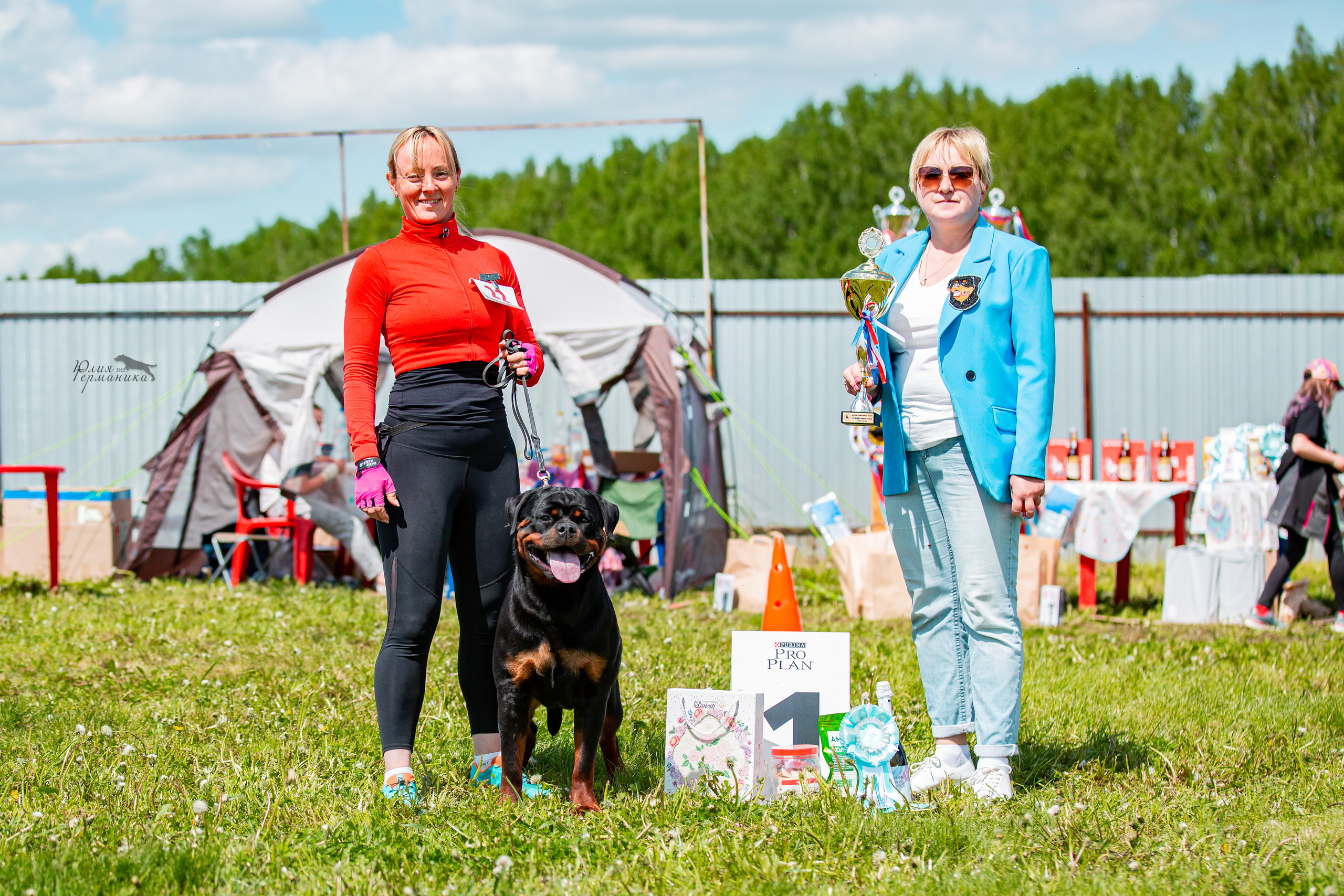 Нижний Новгород моно ротвейлеров 4 июня 2022. Фотограф-анималист Юлия Германика