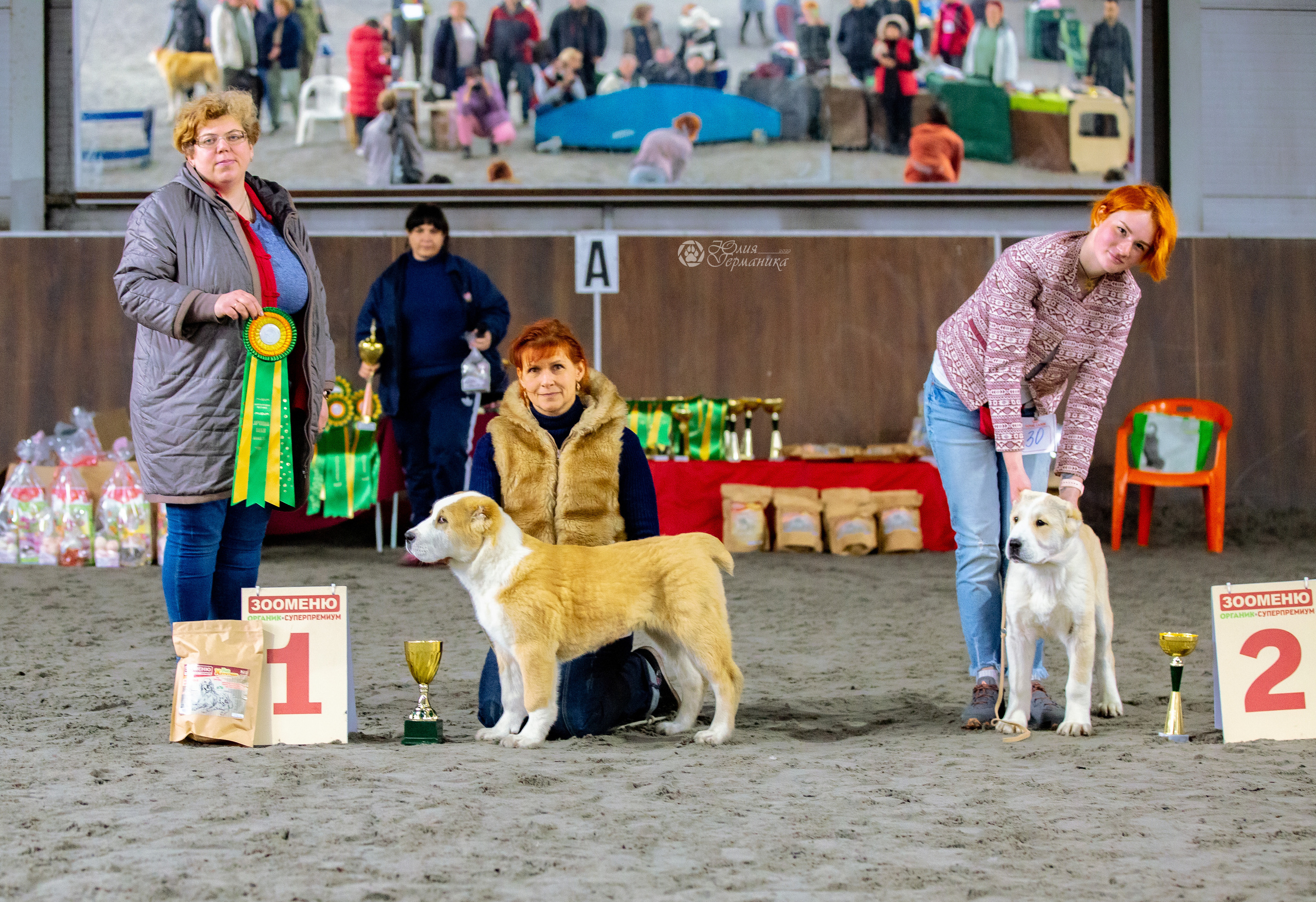 Националка САО+КЧК 24 апреля 2022. Фотограф-анималист Юлия Германика