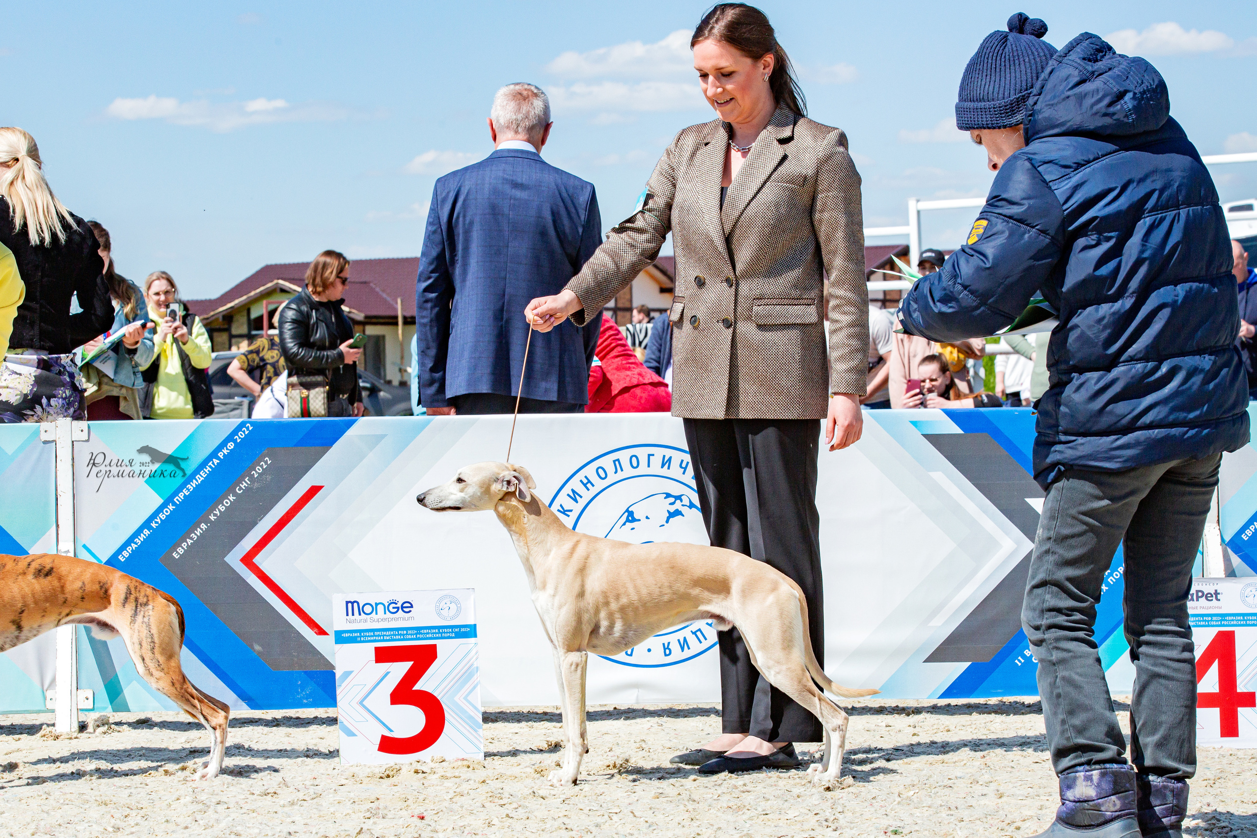 Евразия 21-22 мая 2022. Фотограф-анималист Юлия Германика