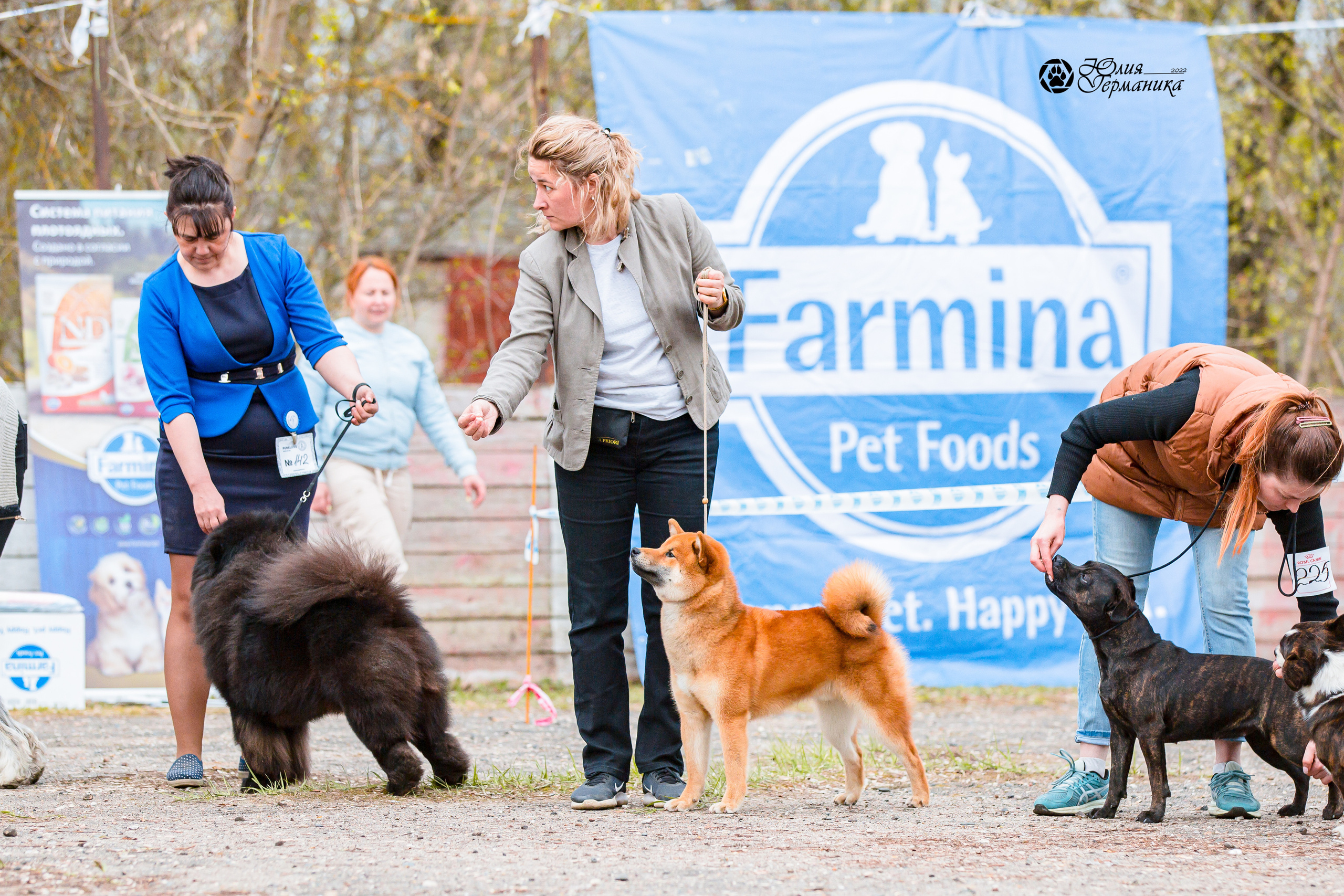 Александров 2хСАС 8 мая 2022. Фотограф-анималист Юлия Германика
