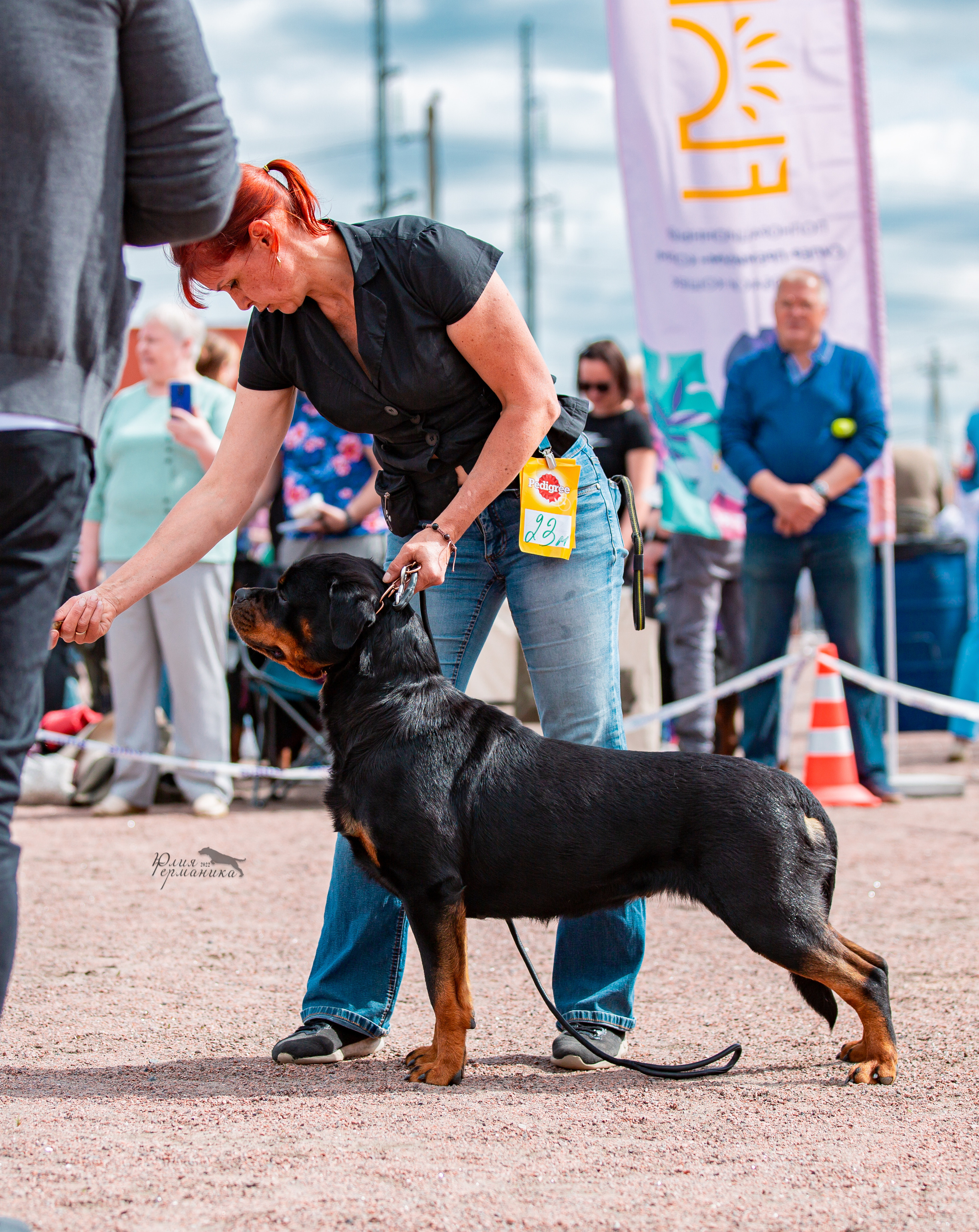 Смоленск 12.06,   Ховрино 13.06,    Питер 18.06 2022. Фотограф-анималист Юлия Германика