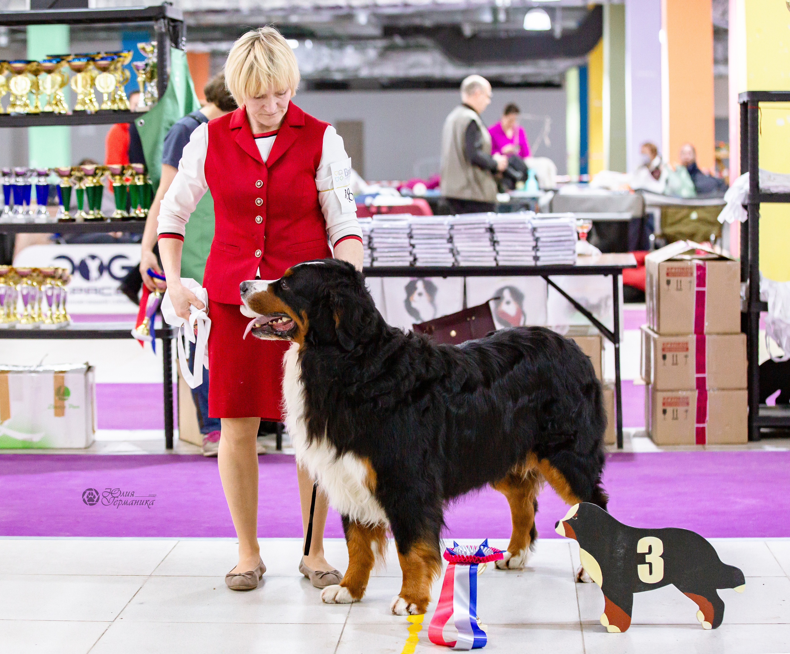 Чайна-Таун 16-17 апреля 2022. Фотограф-анималист Юлия Германика