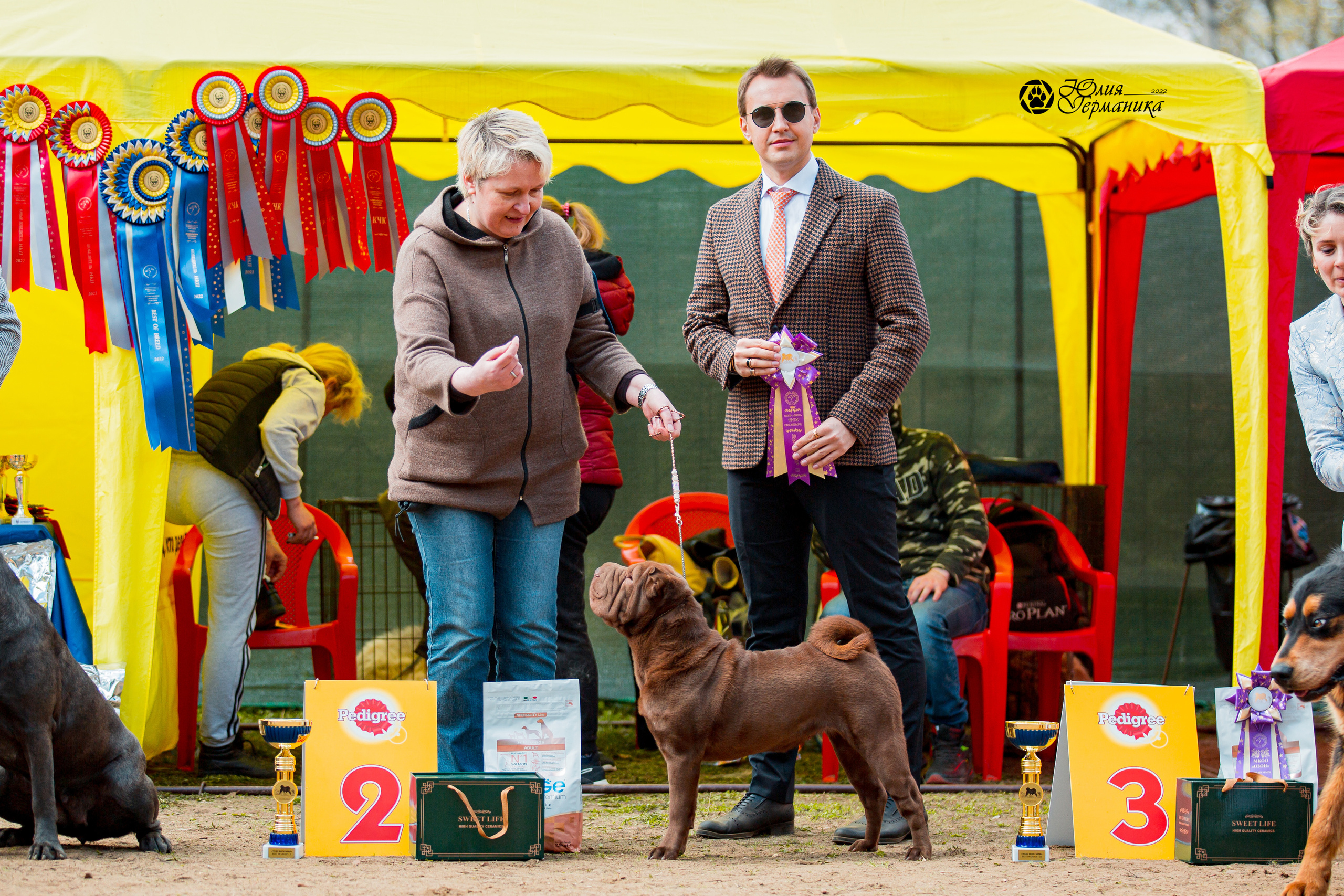 Сокольники 1 мая 2022. Фотограф-анималист Юлия Германика