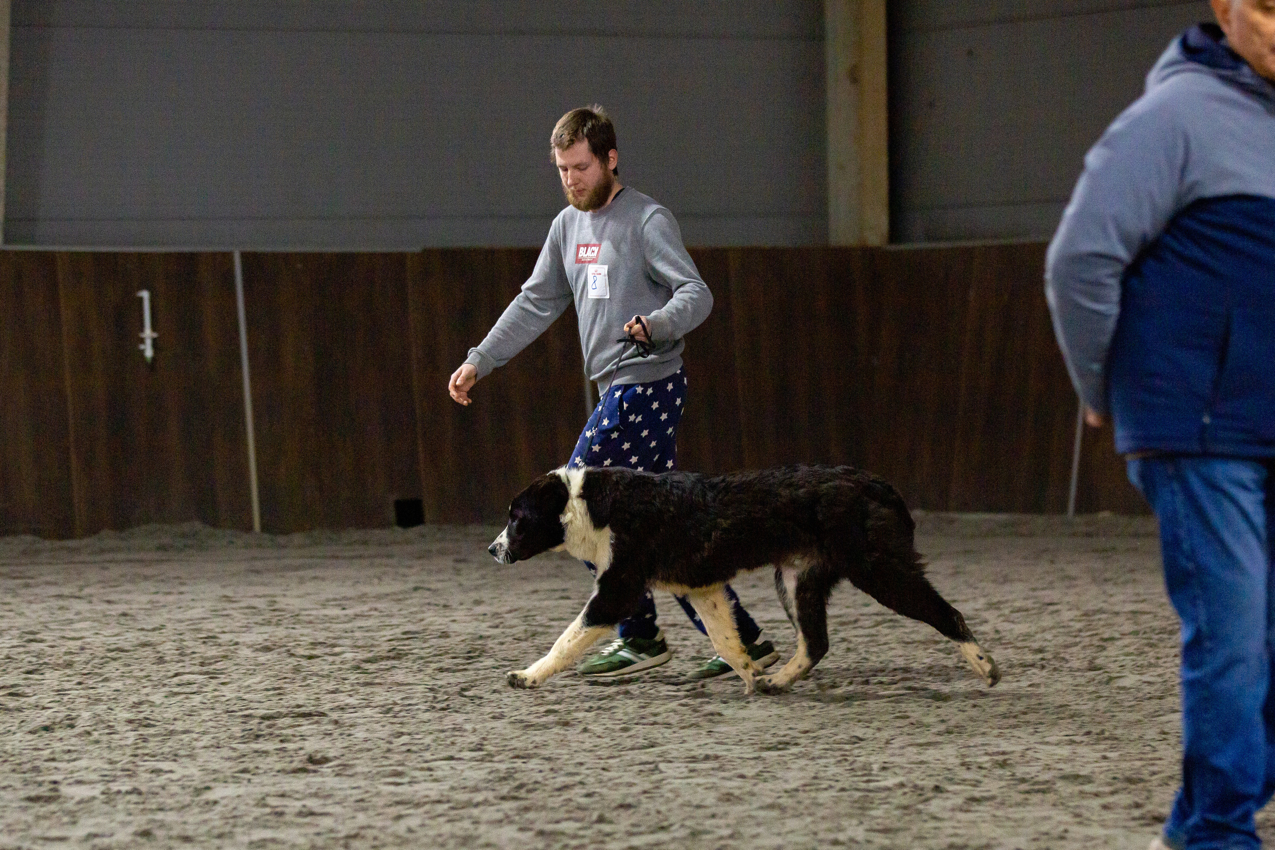 Националка САО+КЧК 24 апреля 2022. Фотограф-анималист Юлия Германика