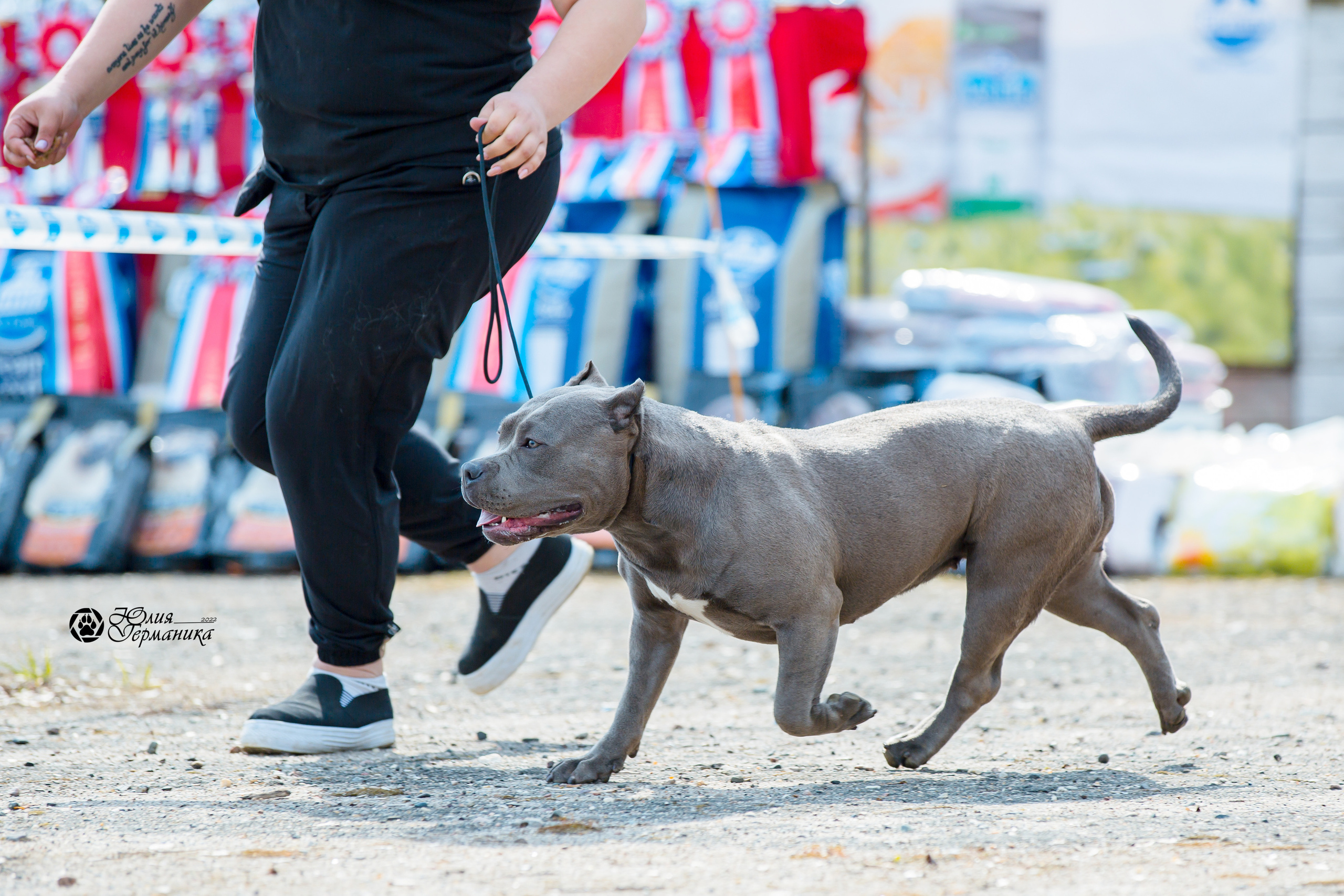 Александров 2хСАС 8 мая 2022. Фотограф-анималист Юлия Германика