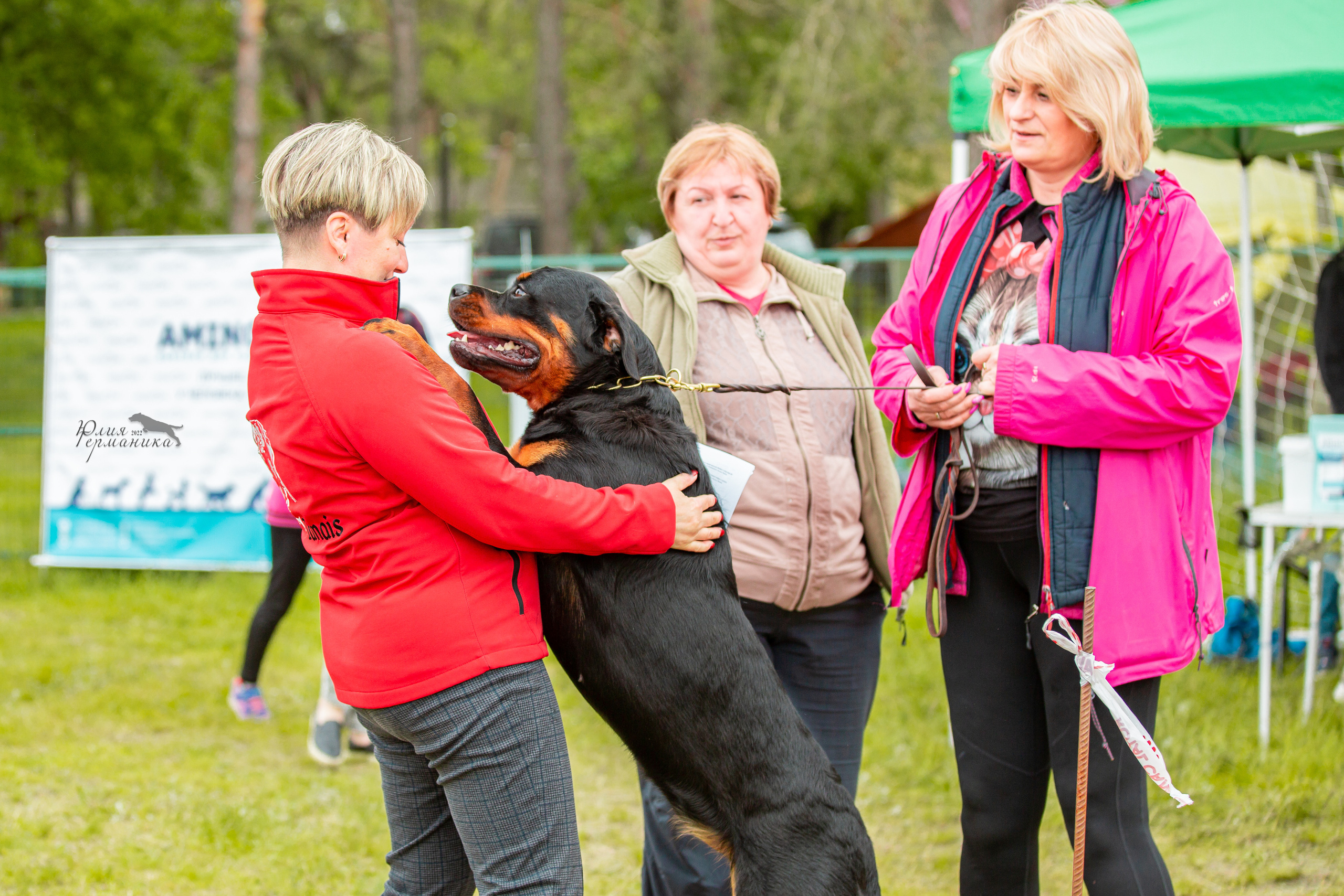 Воронеж моно ротвейлеров 28-29 мая 2022. Фотограф-анималист Юлия Германика