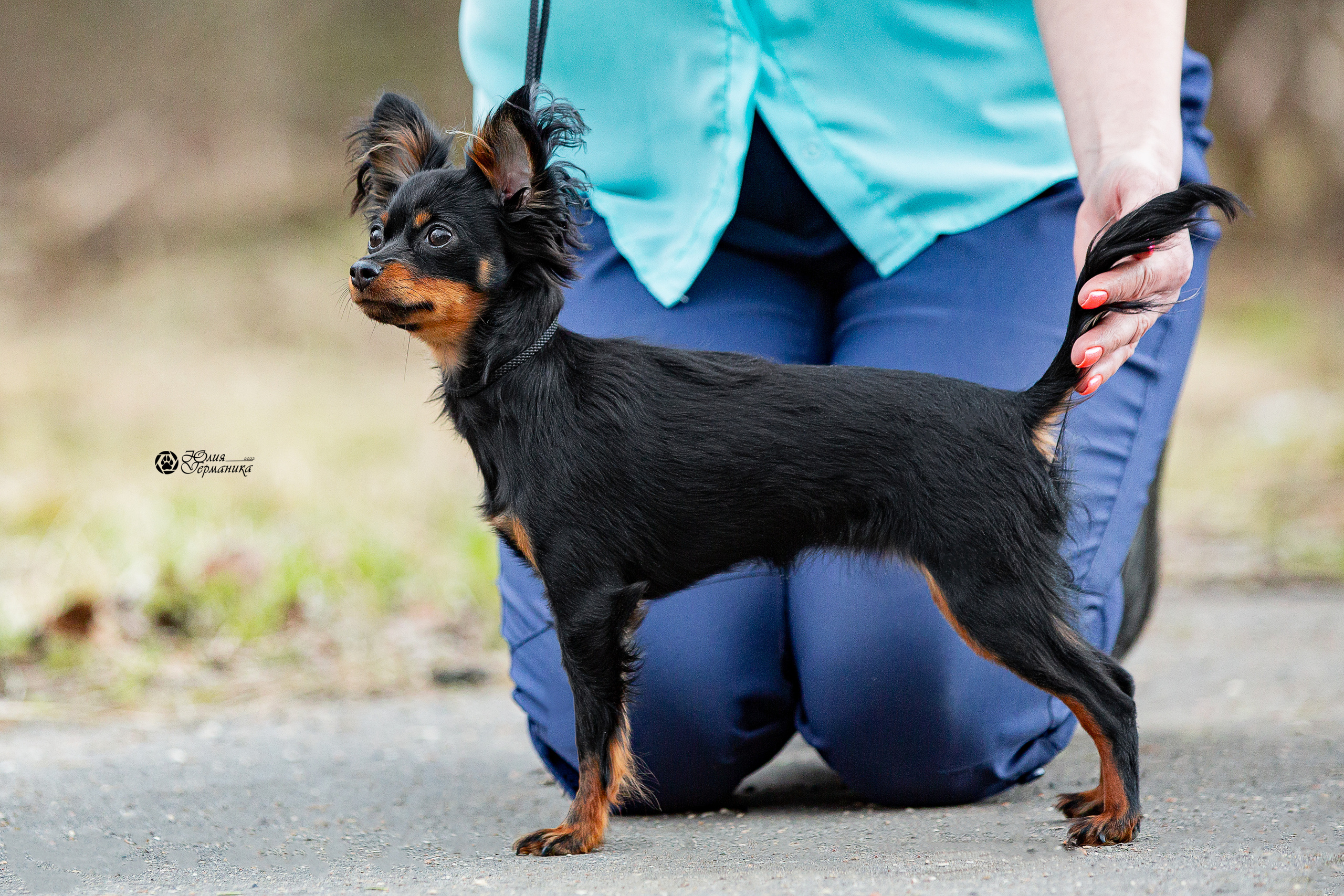 Свободная съемка. Фотограф-анималист Юлия Германика