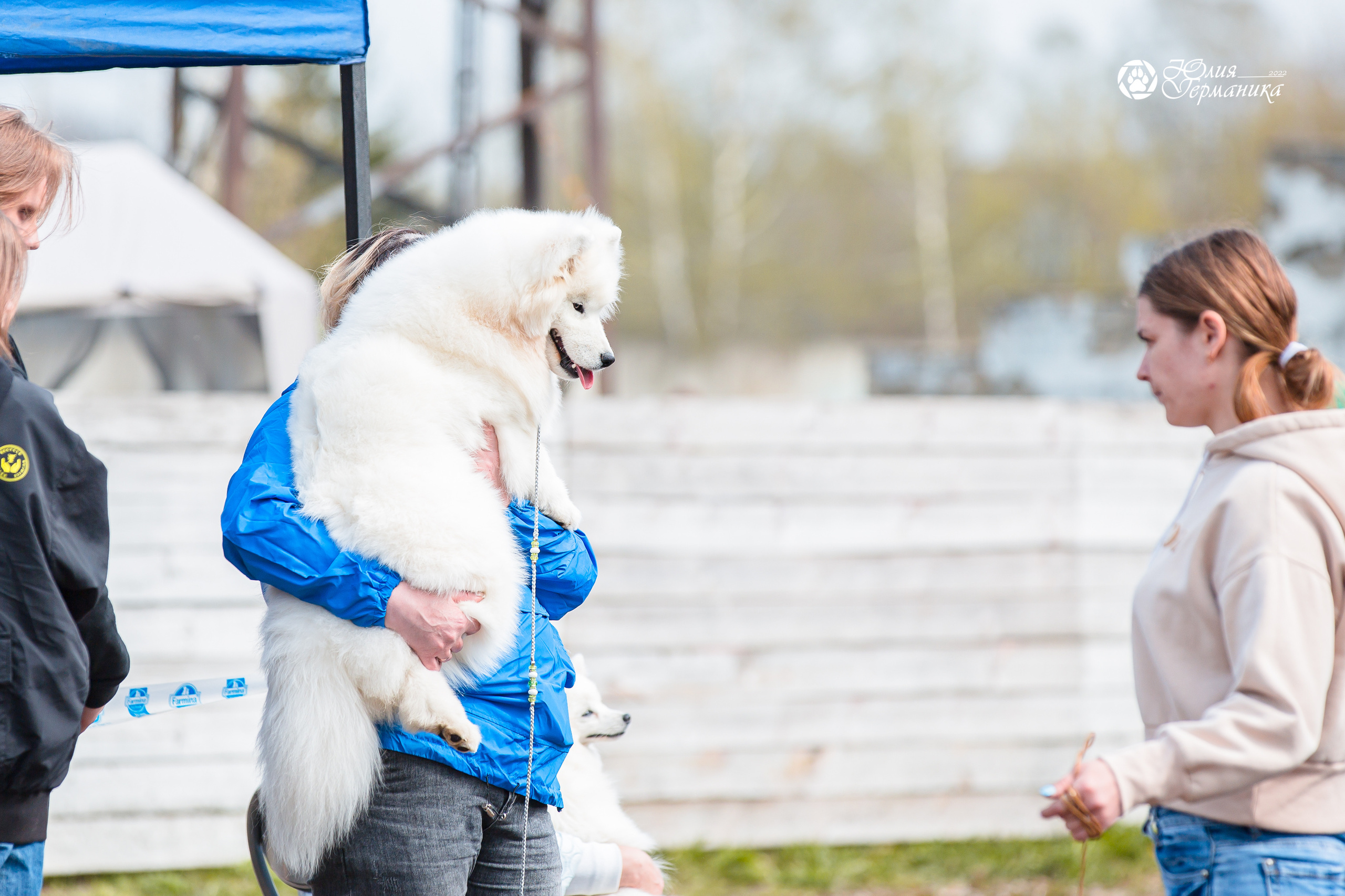Александров 2хСАС 8 мая 2022. Фотограф-анималист Юлия Германика
