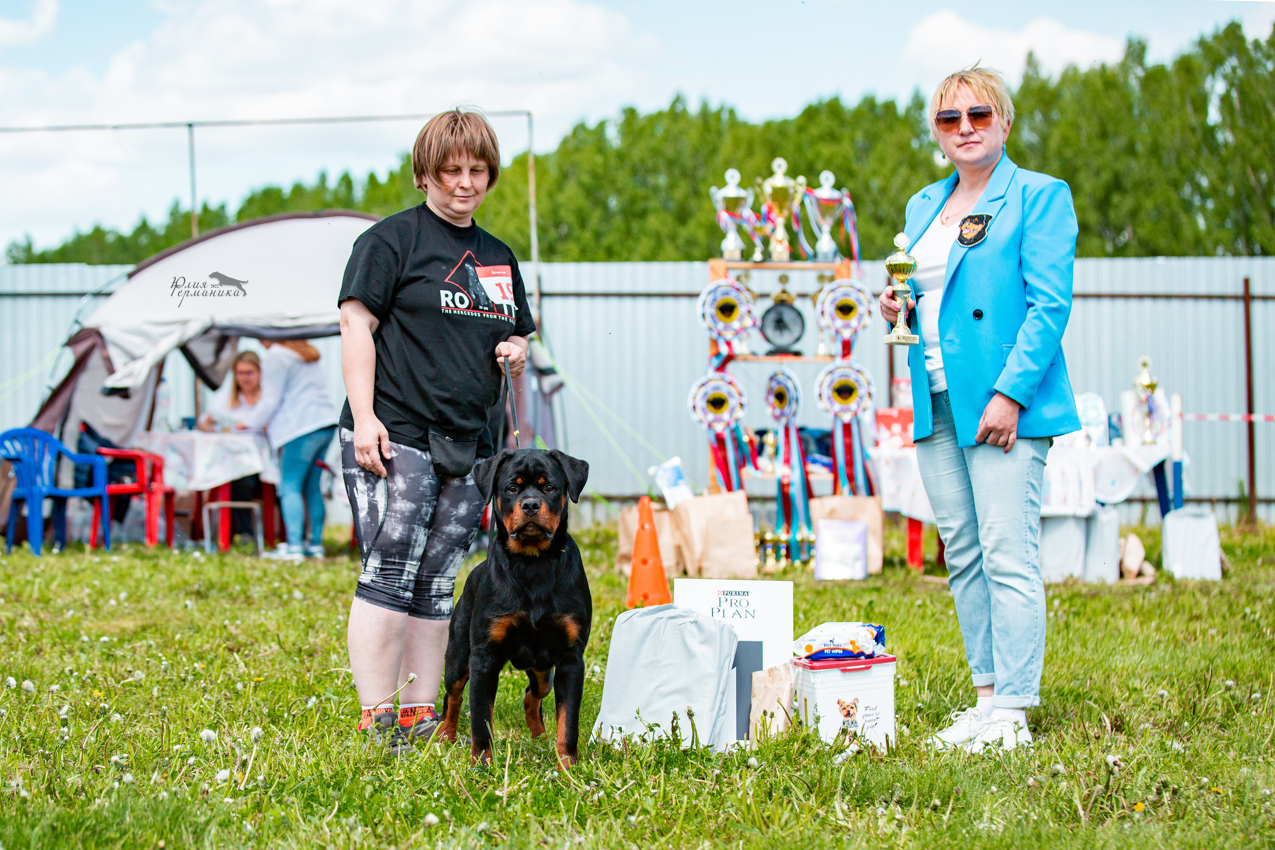 Нижний Новгород моно ротвейлеров 4 июня 2022. Фотограф-анималист Юлия Германика